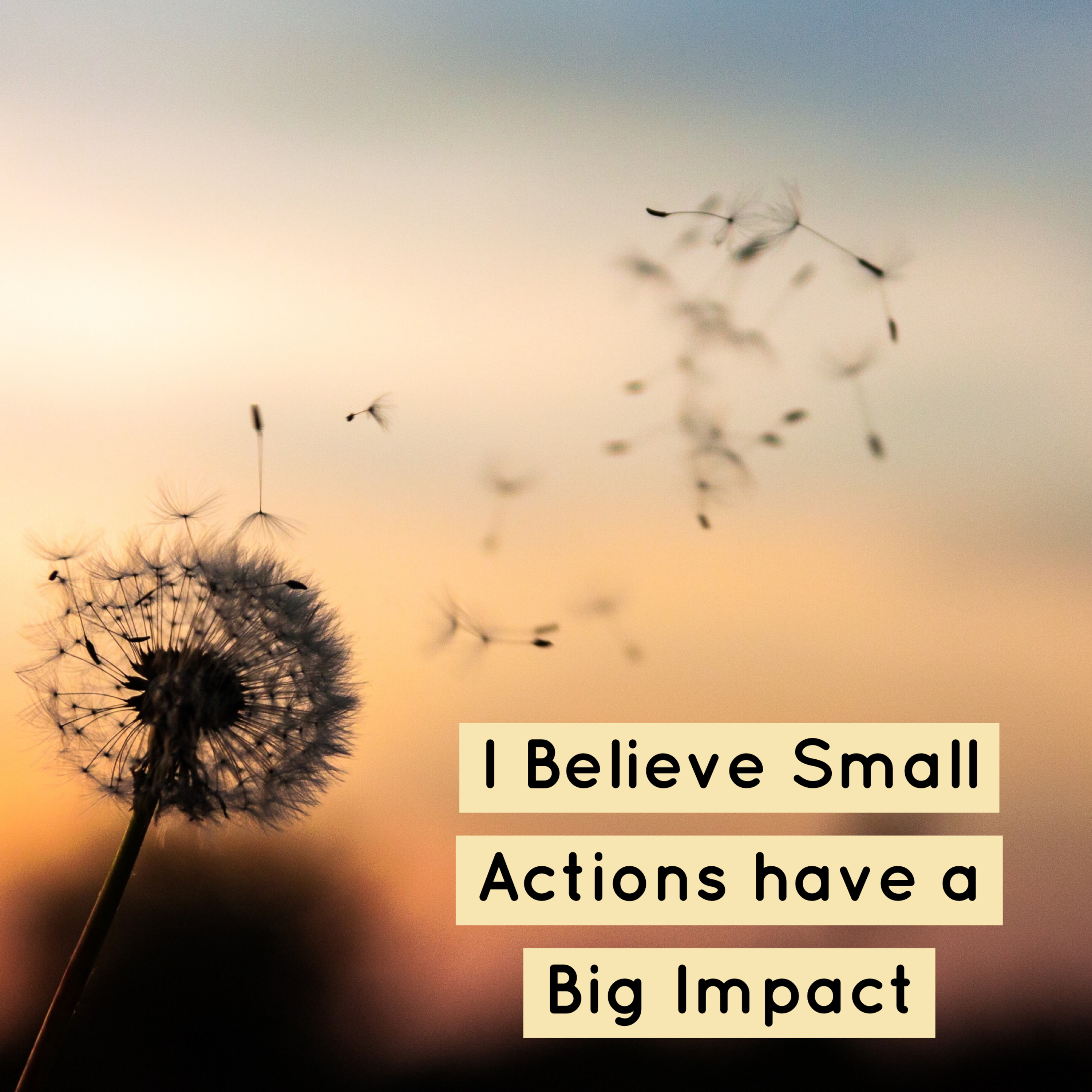 I Believe Small Actions have a Big Impact episode artwork