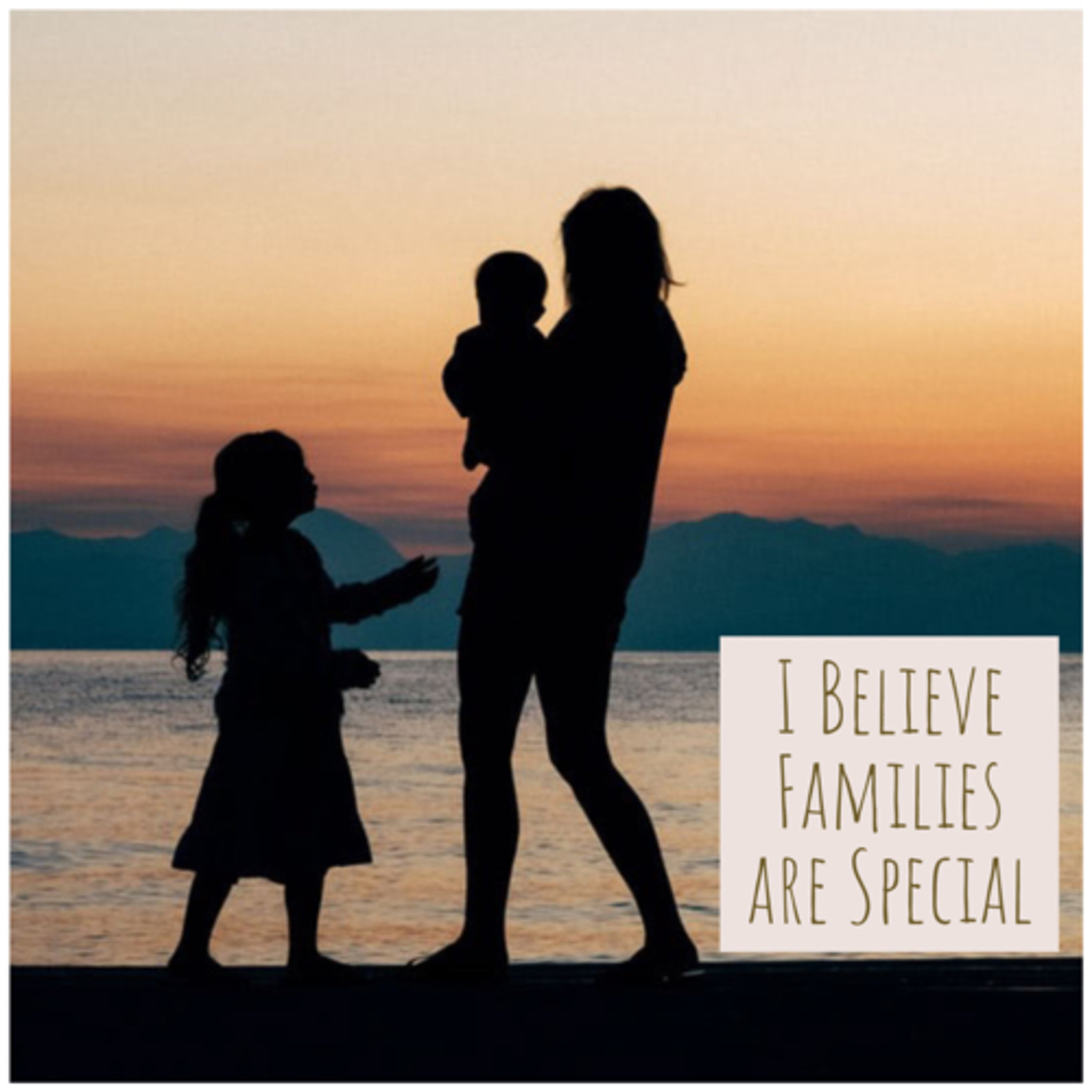 I Believe Families are Special episode artwork