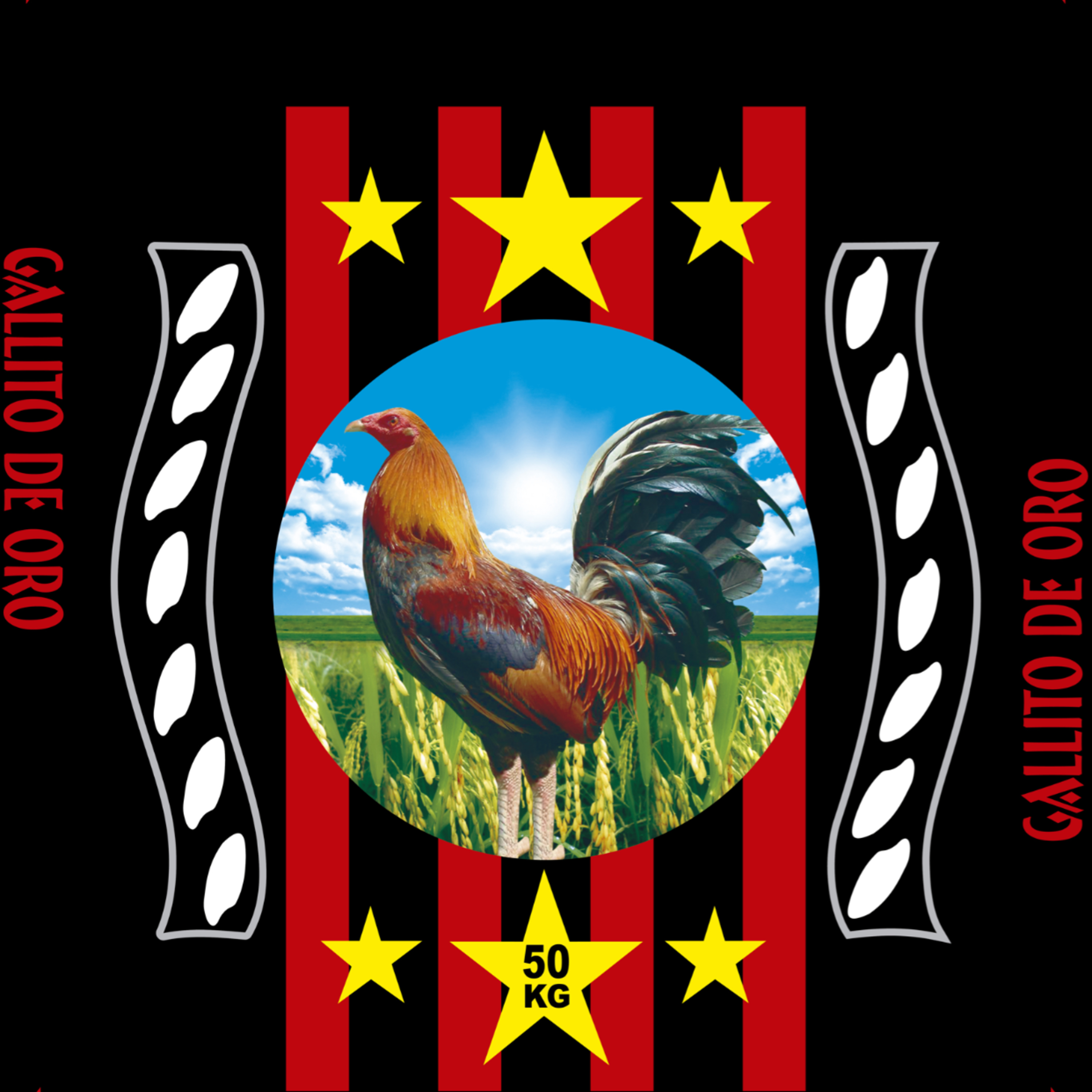 Lorenzo Cahuana Tv