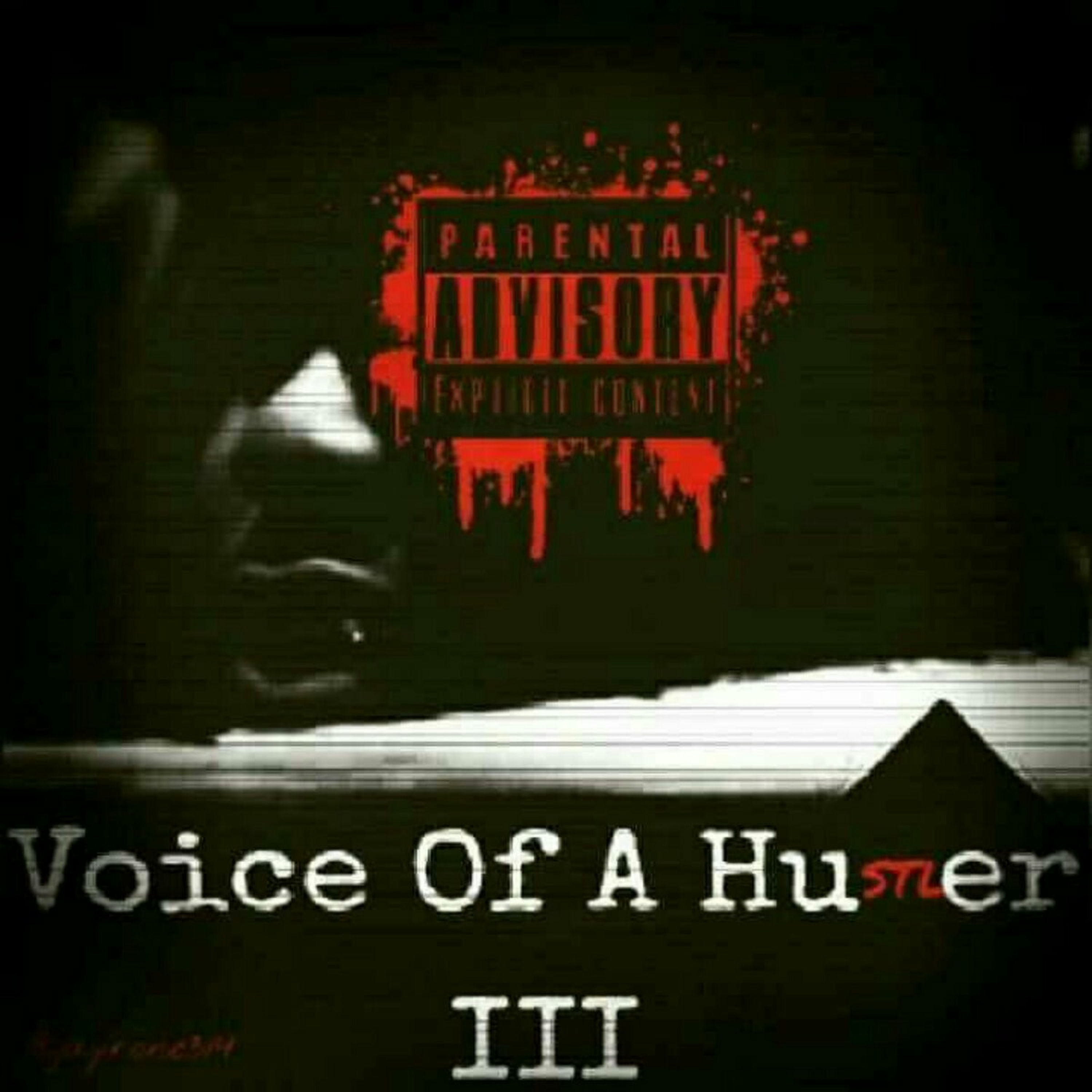 Voice Of A Hustler Podcast