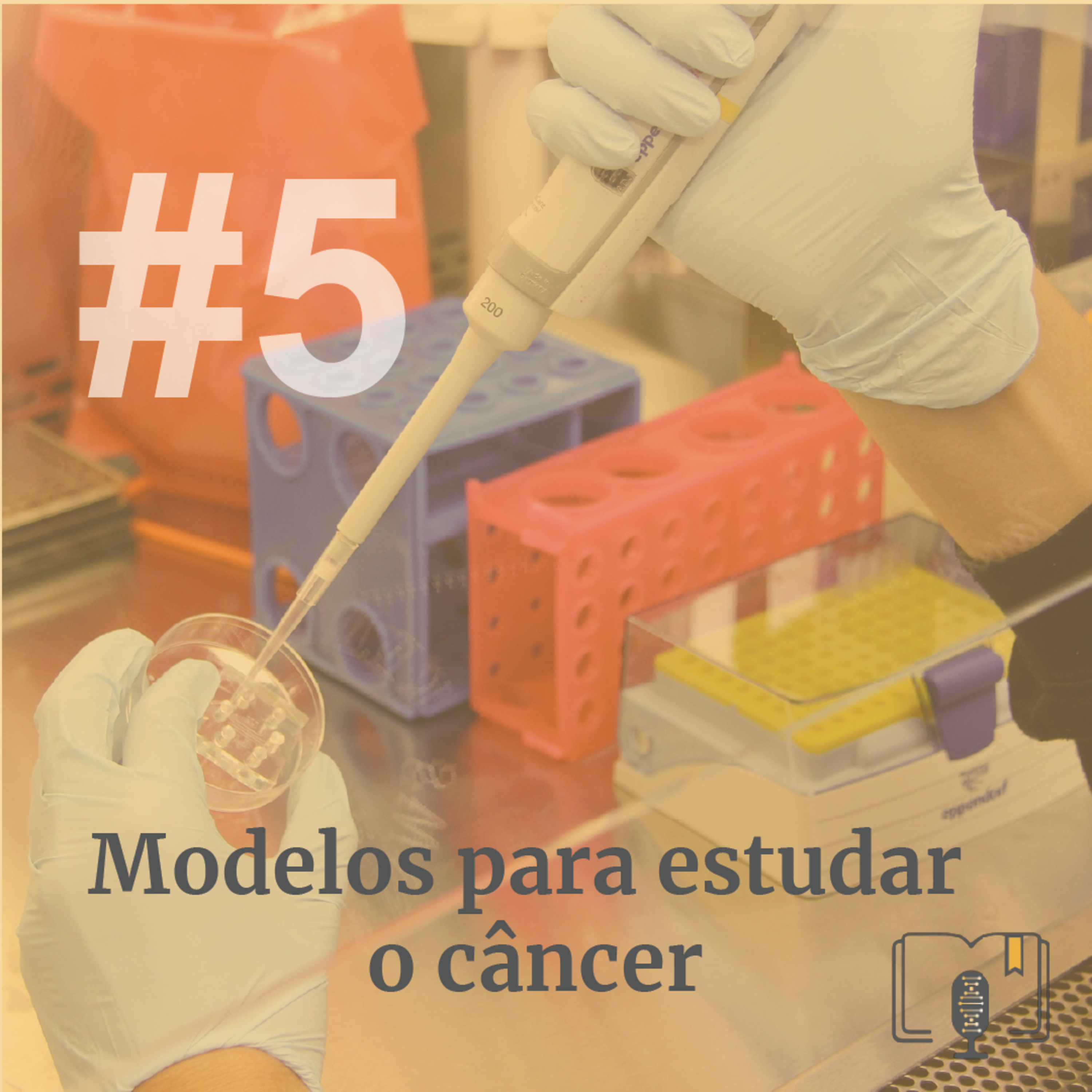 Revista Científica