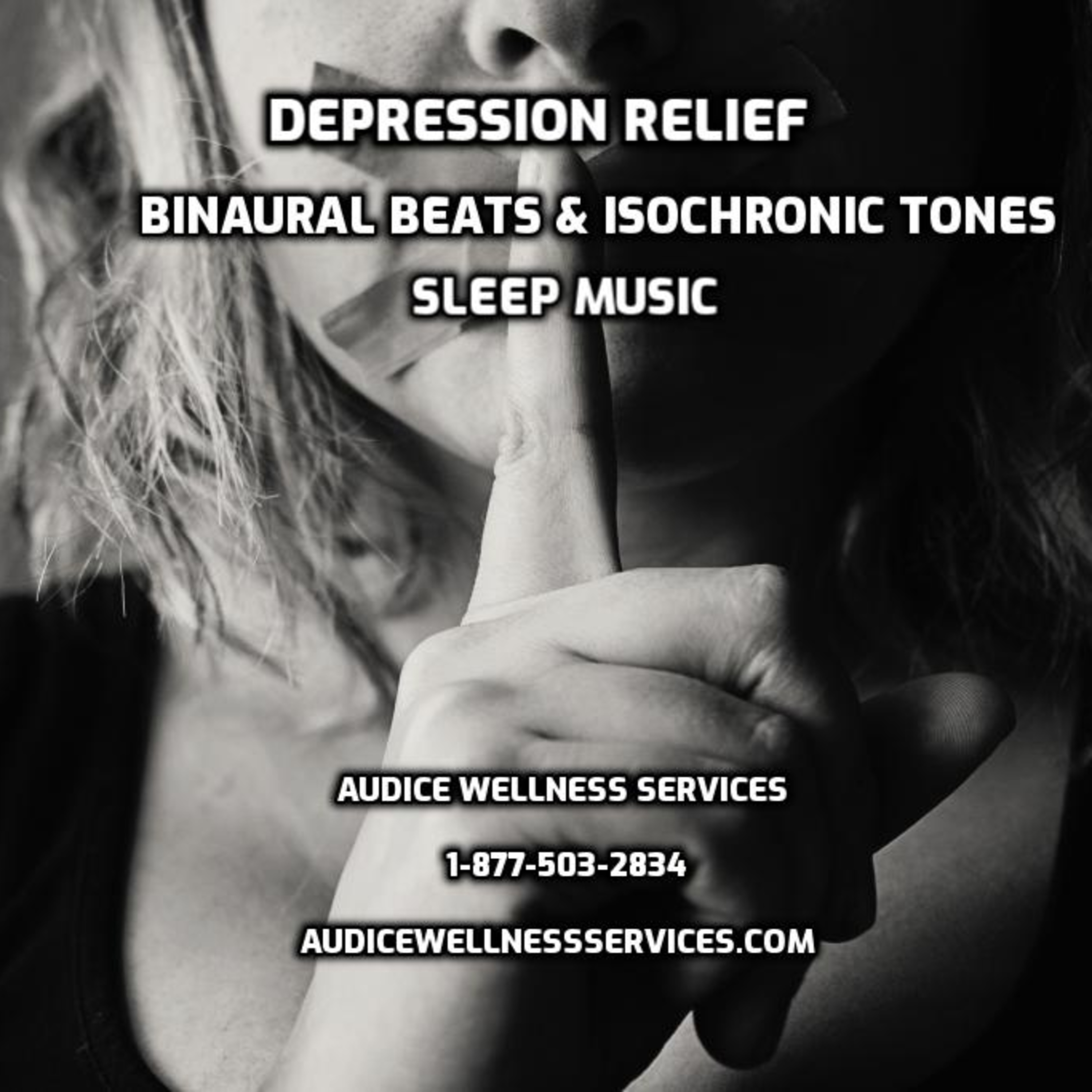 Audice Wellness Services