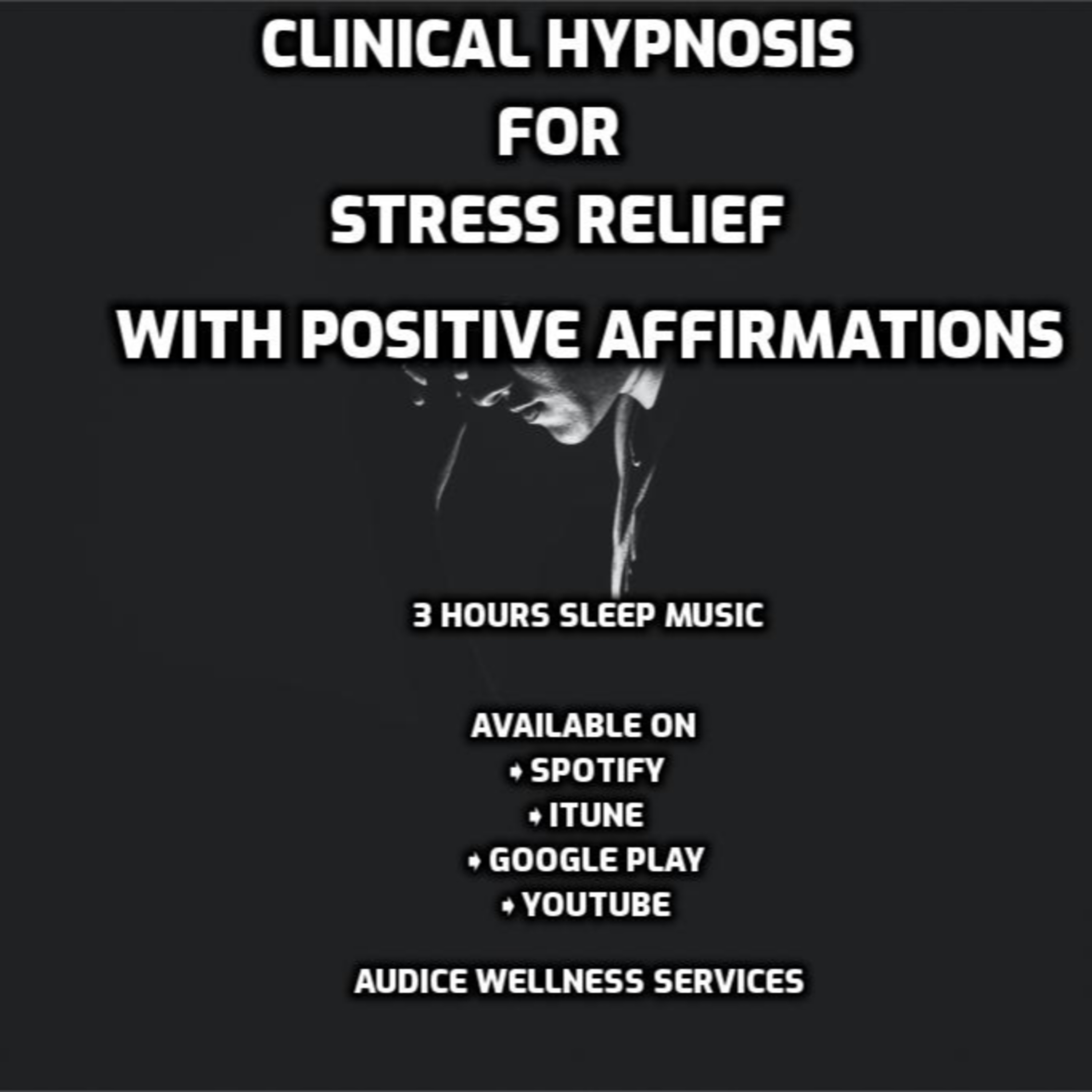 Audice Wellness Services