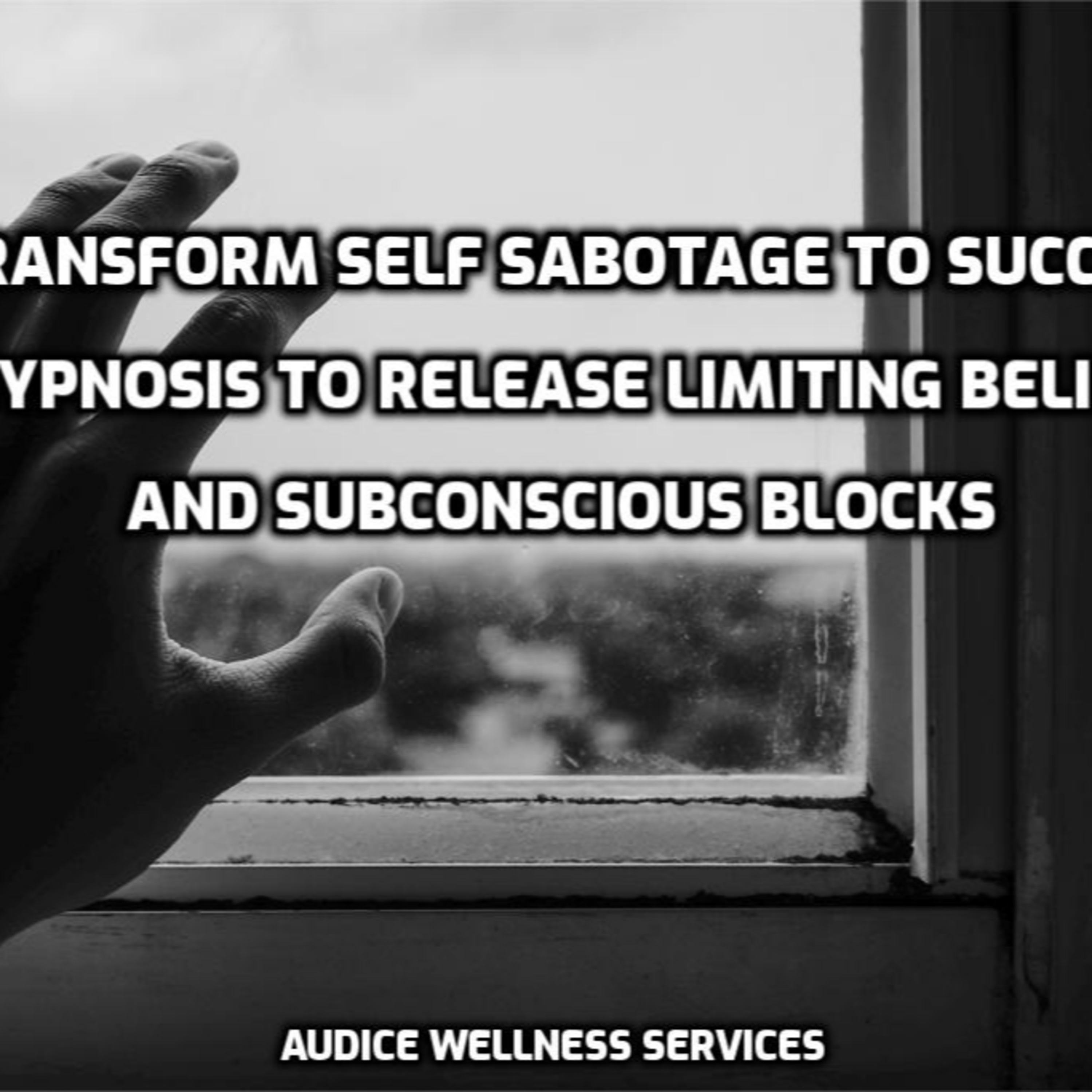 Audice Wellness Services