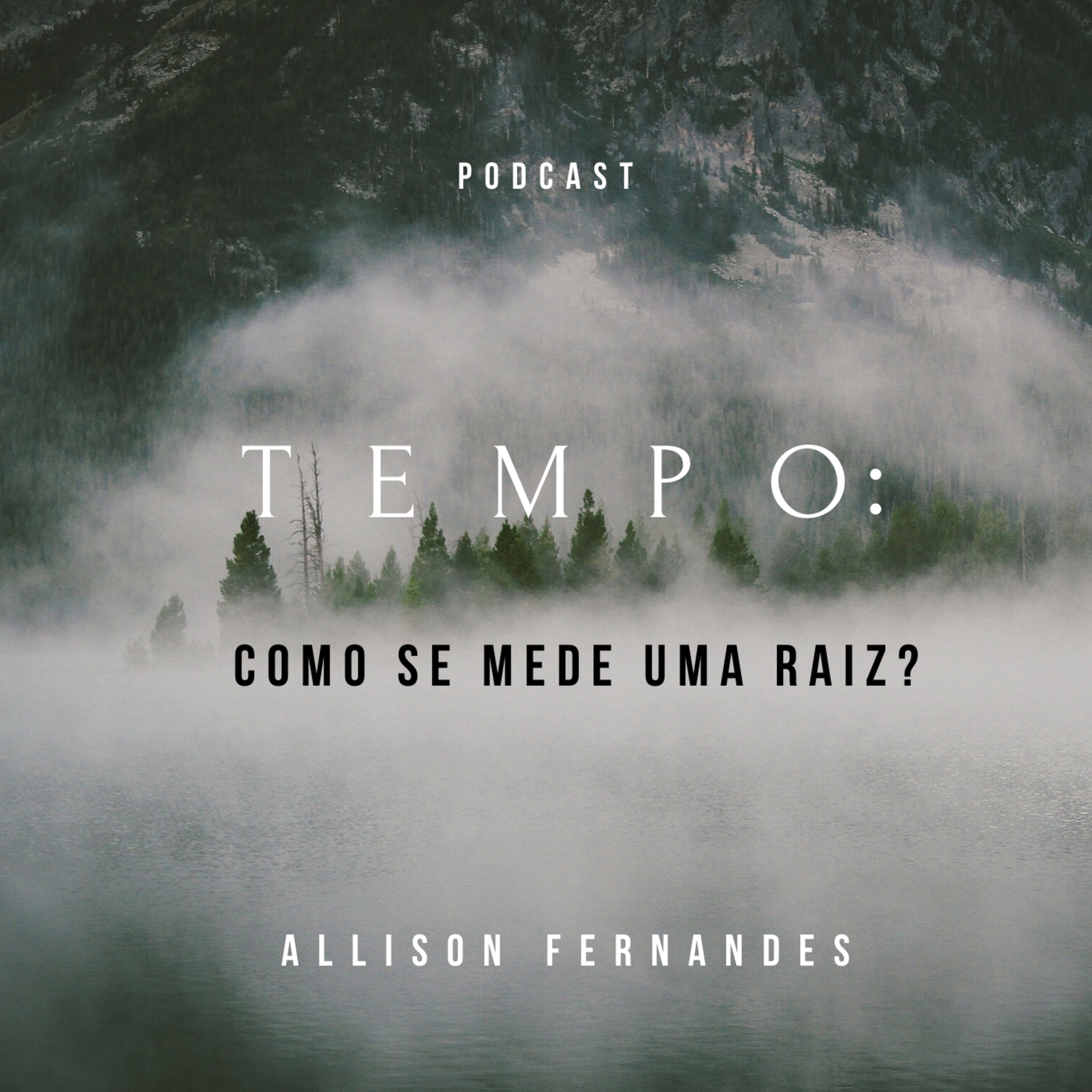 Allison Fernandes