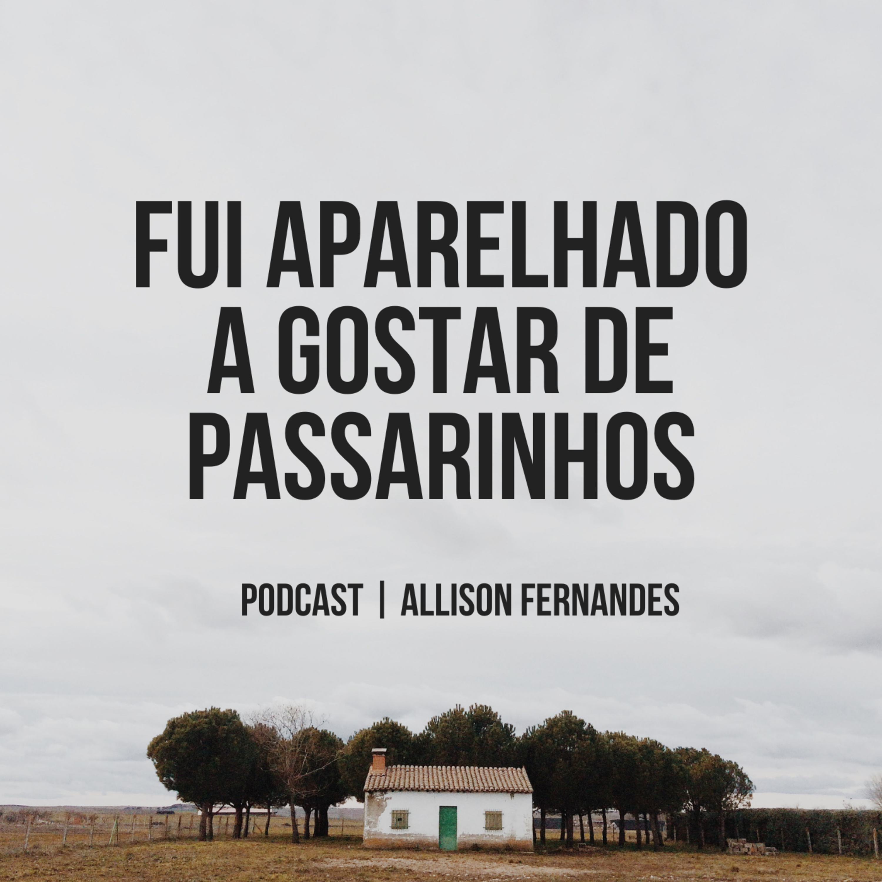 Allison Fernandes