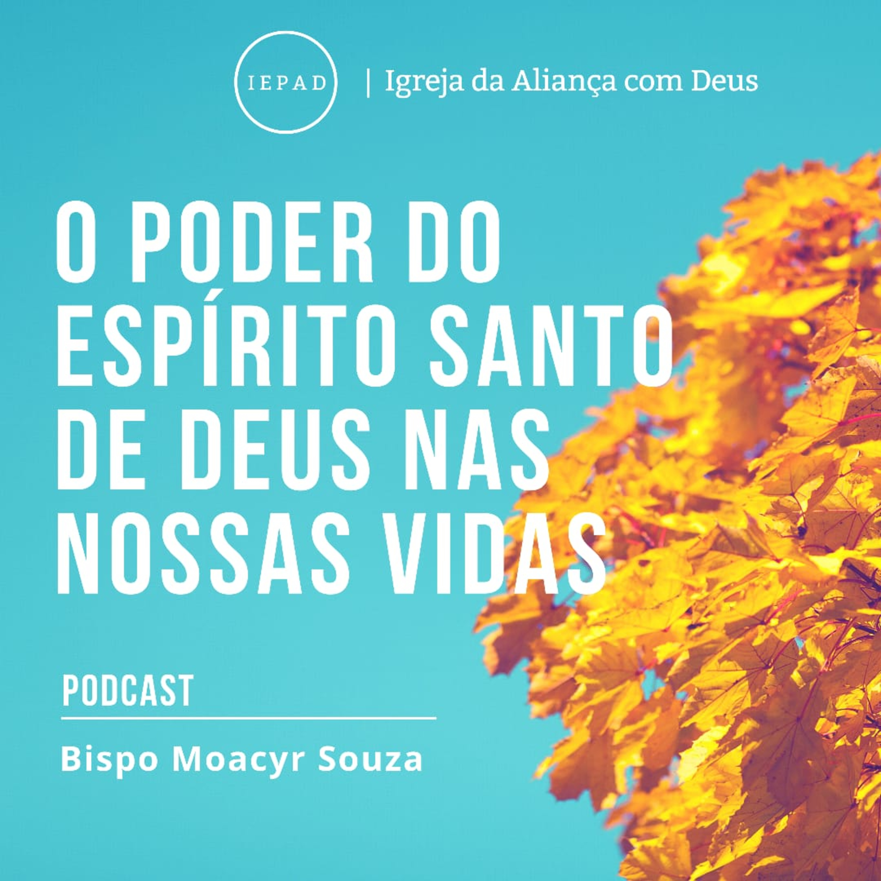 EP #10 A Conexão do Fogo com o Espírito Santo | SÉRIE - O PODER DO ESPÍRITO SANTO DE DEUS NAS NOSSAS VIDAS episode artwork