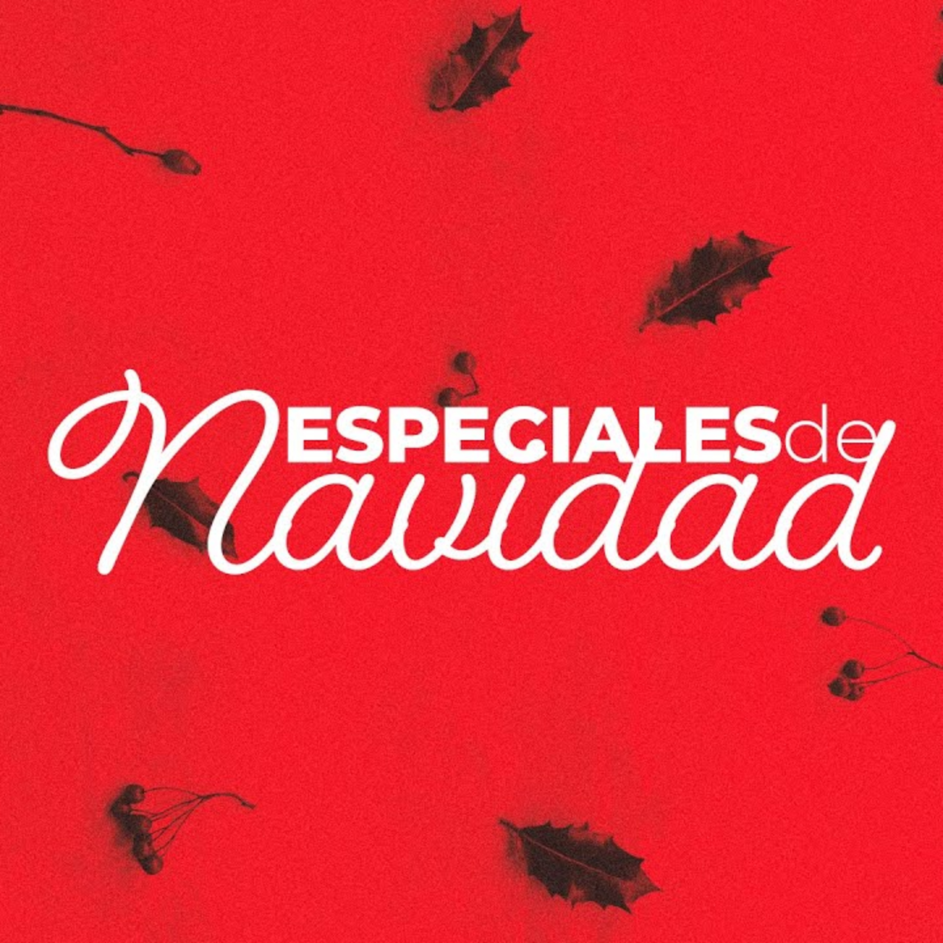 Semilla Santa Mónica