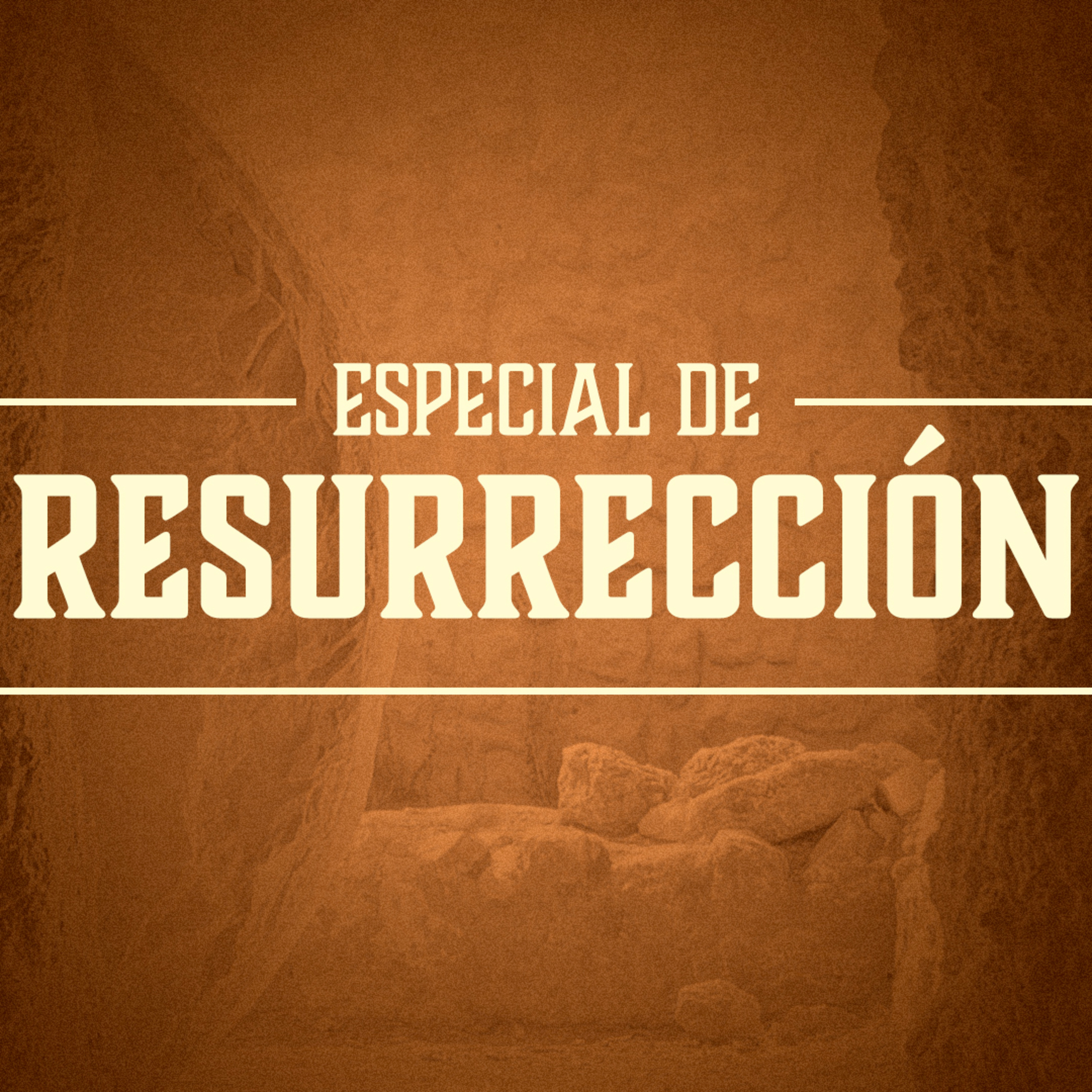 Portada de Semilla Santa Mónica
