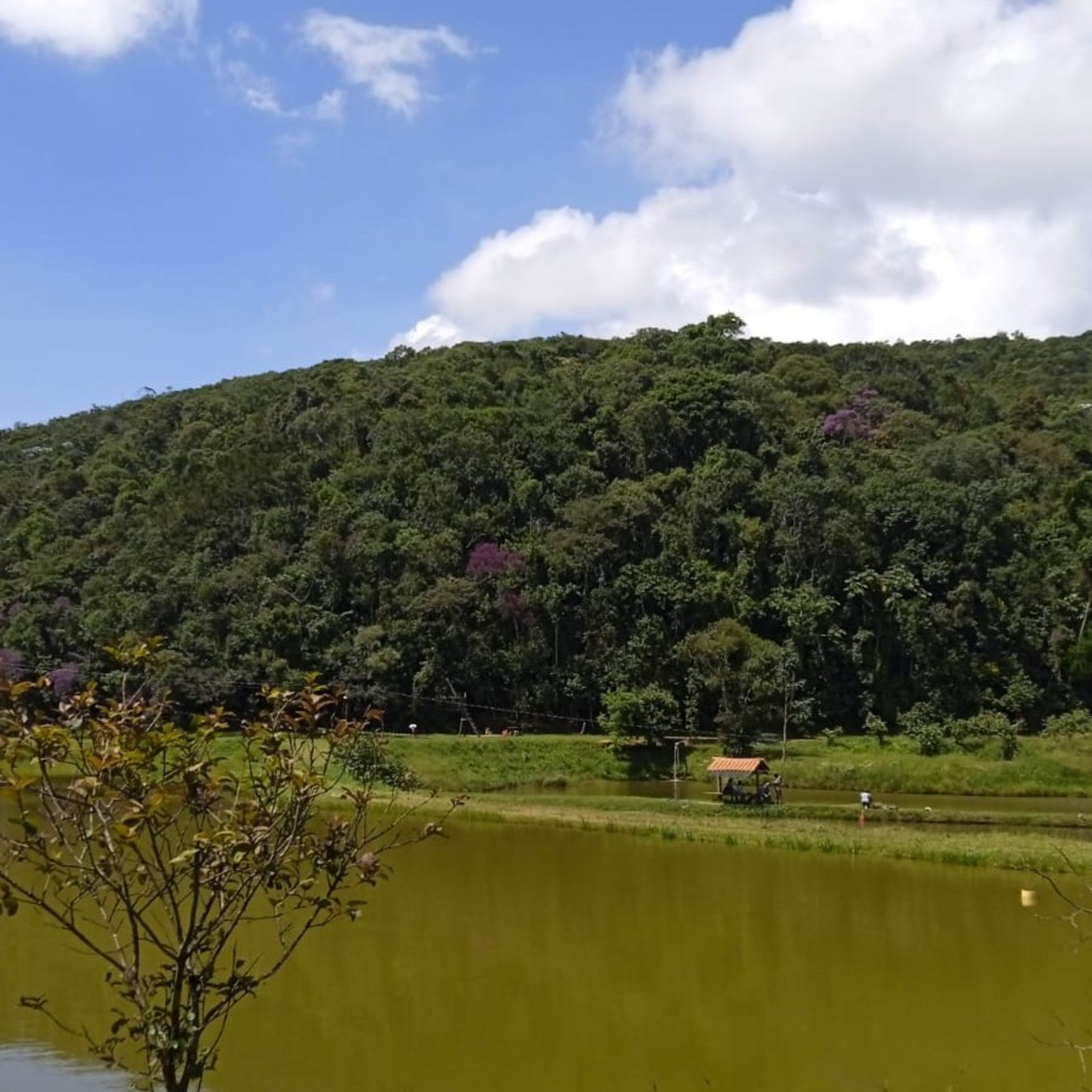 Sementes de Quietude com Mara de Aquino