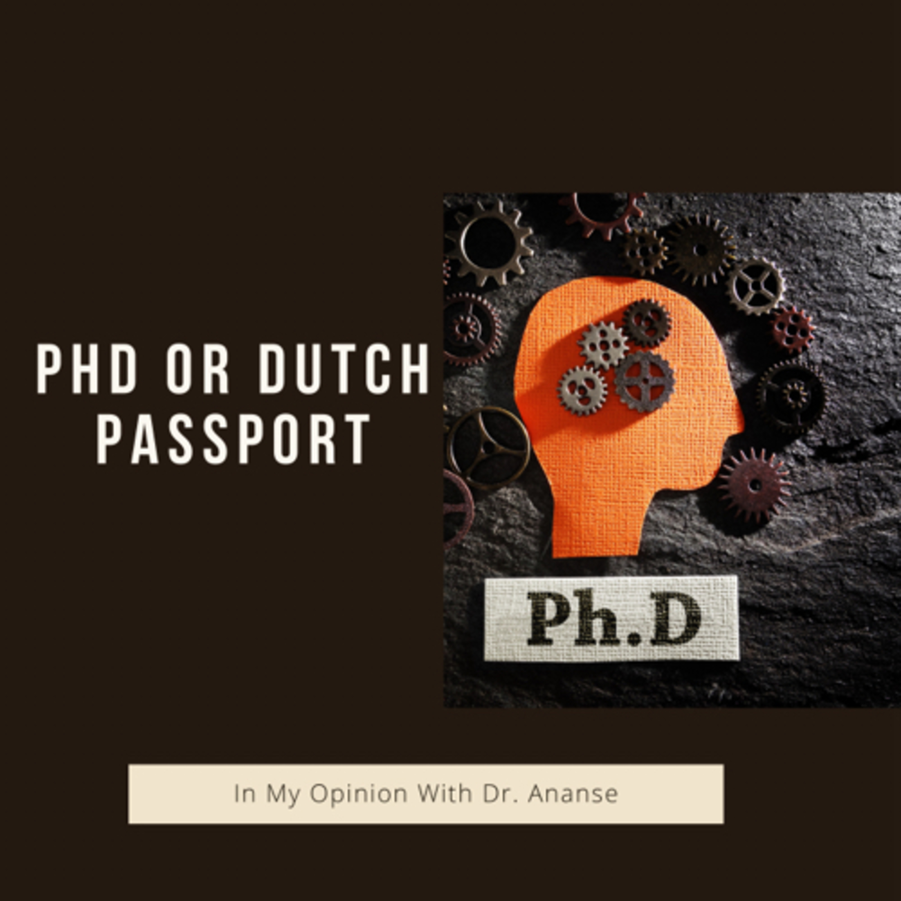 PHD or Dutch Passport episode artwork