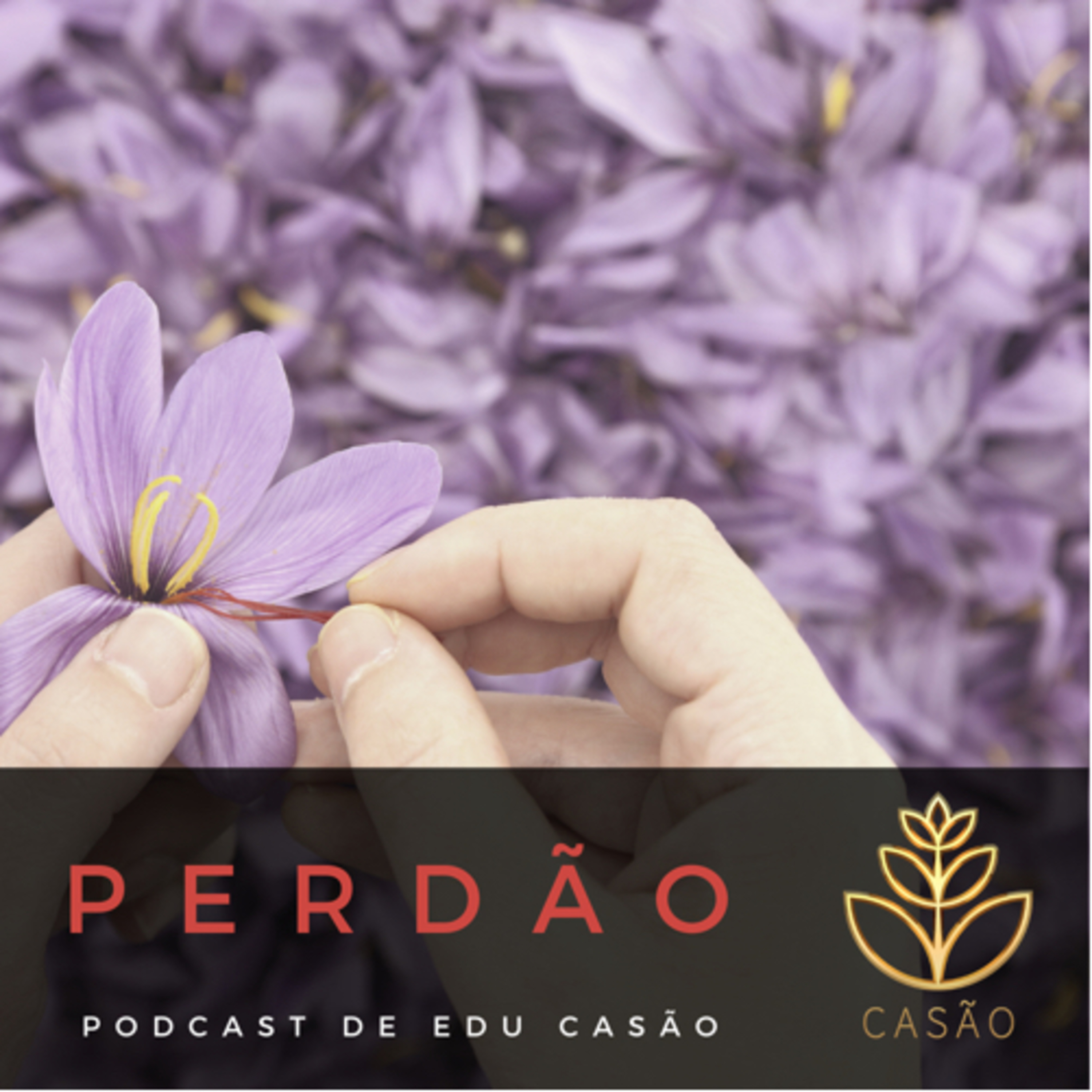 Revolução das Virtudes