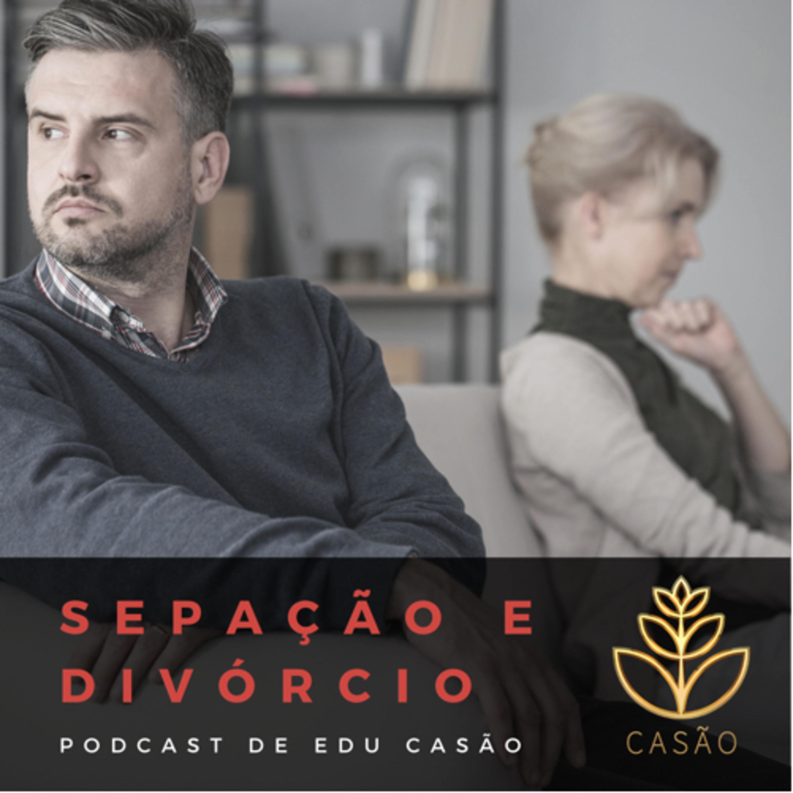 Revolução das Virtudes