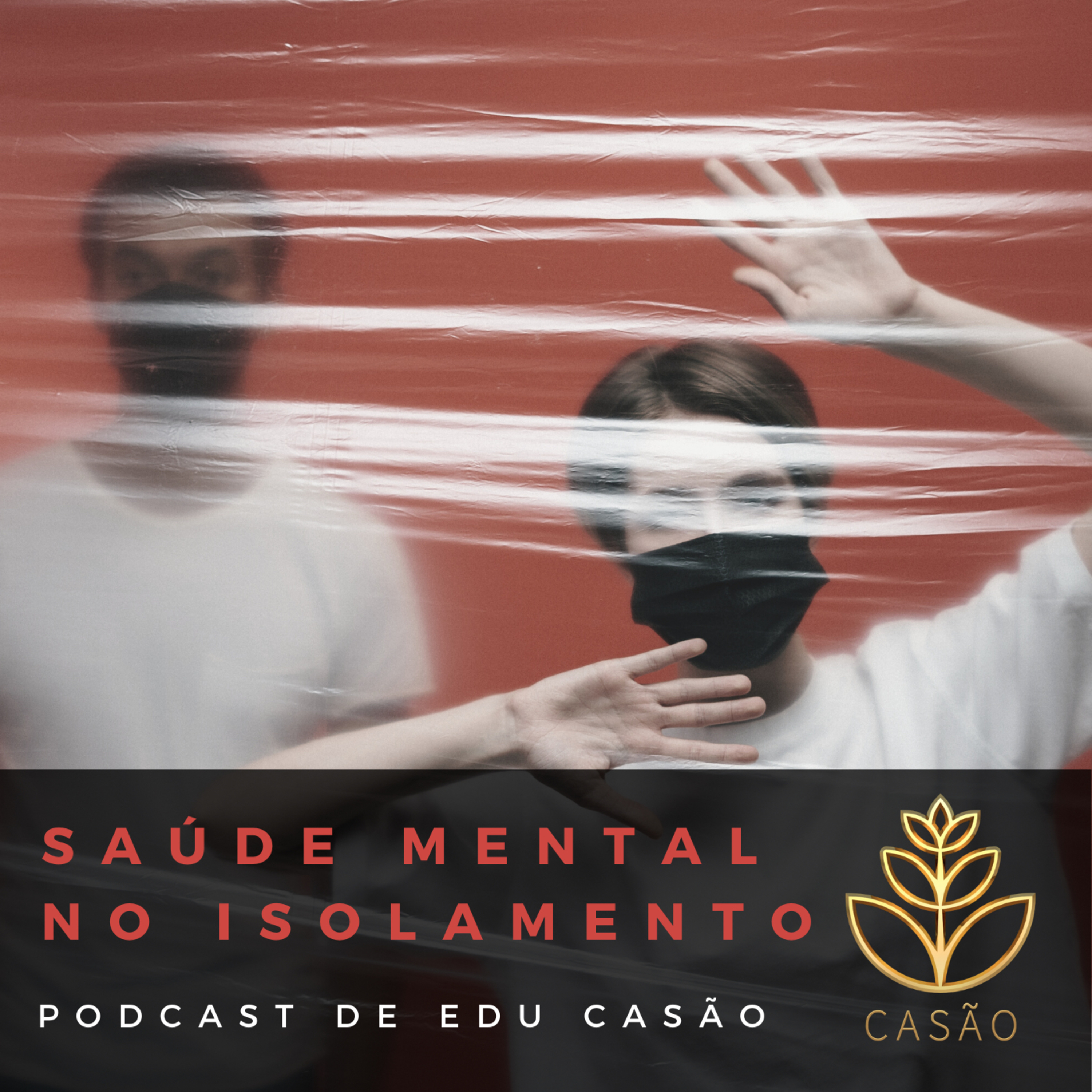 Revolução das Virtudes