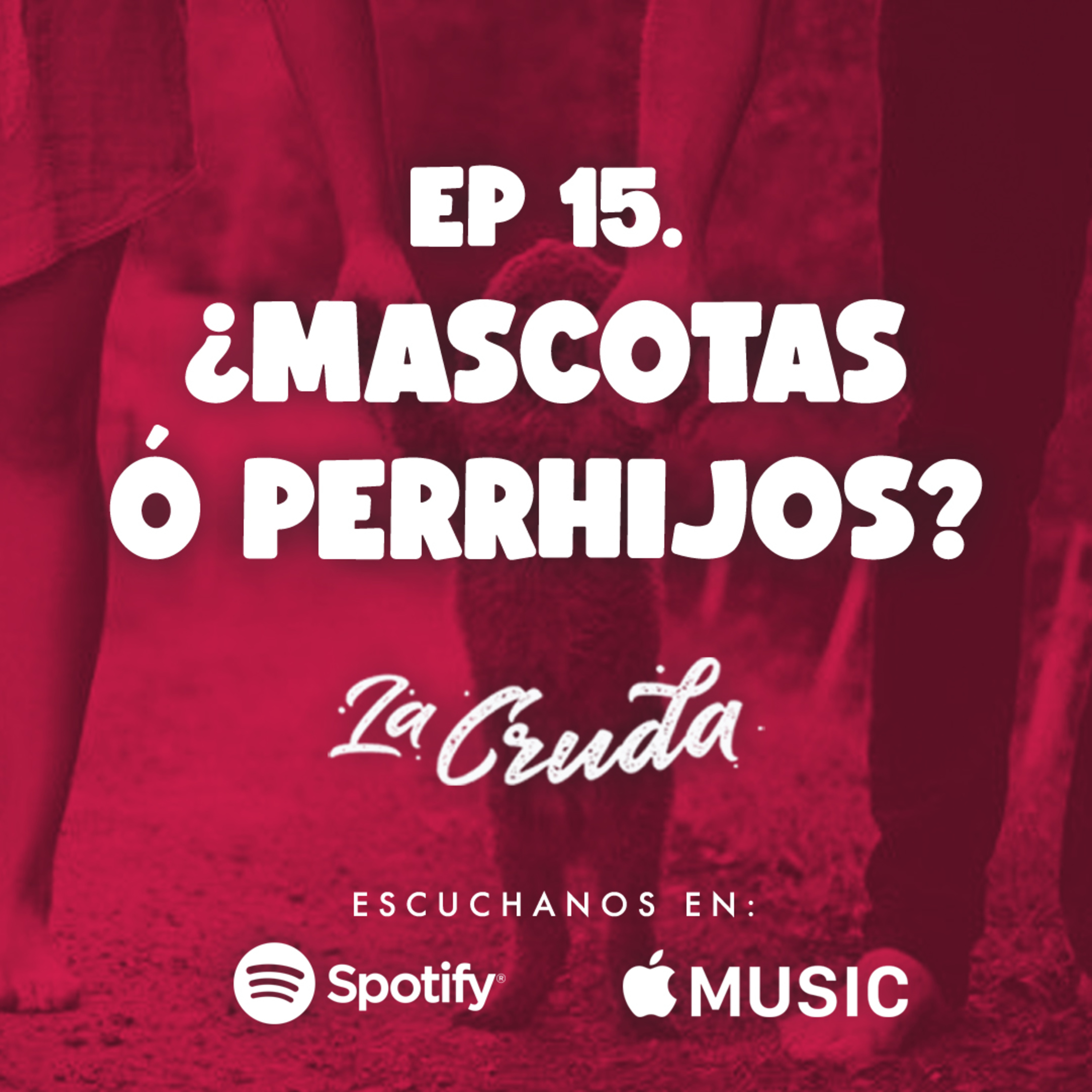 ¿Mascotas o Perrhijos?