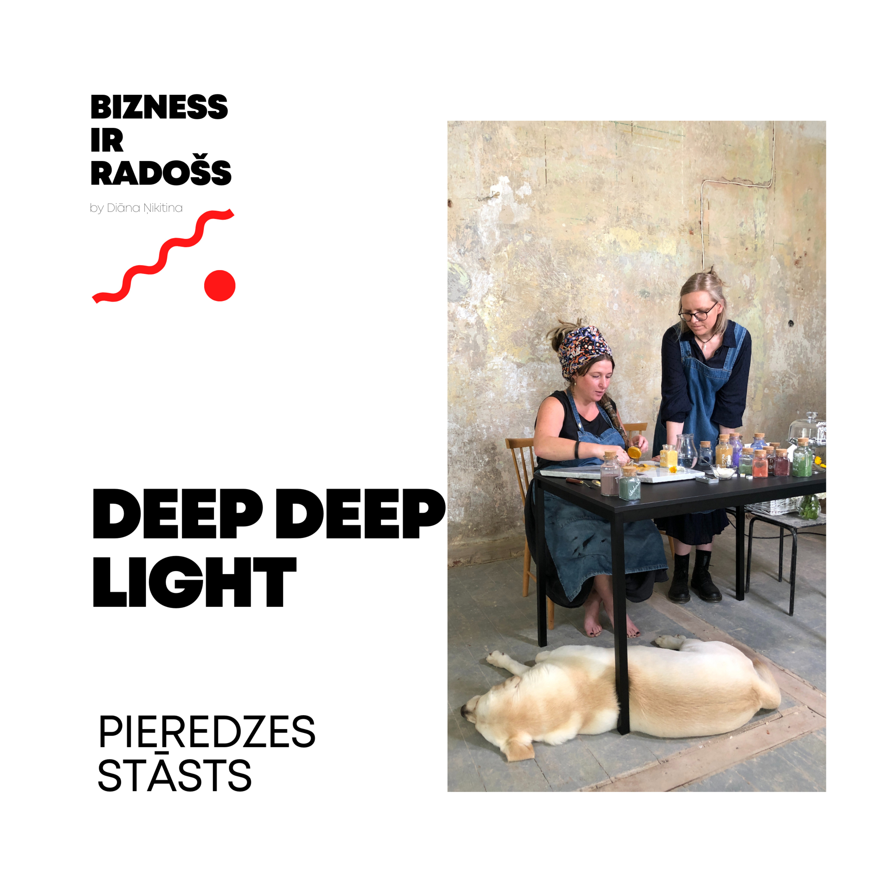 BIZNESS IR RADOŠS by Diāna Ņikitina, zīmolvede