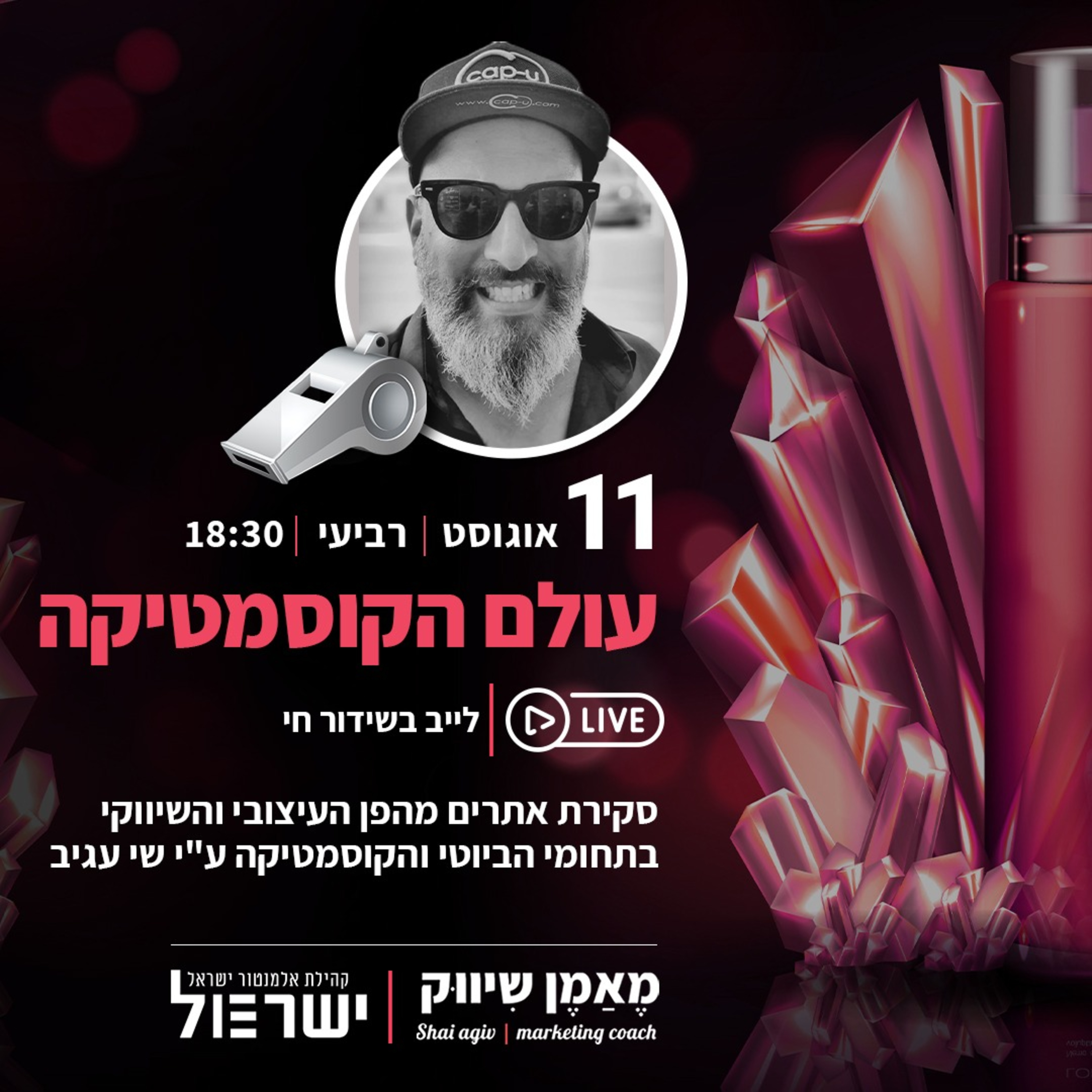 בניית אתרים - השפעת העיצוב והשיווק על חווית המשתמש באתרי הביוטי והקוסמטיקה​ episode artwork