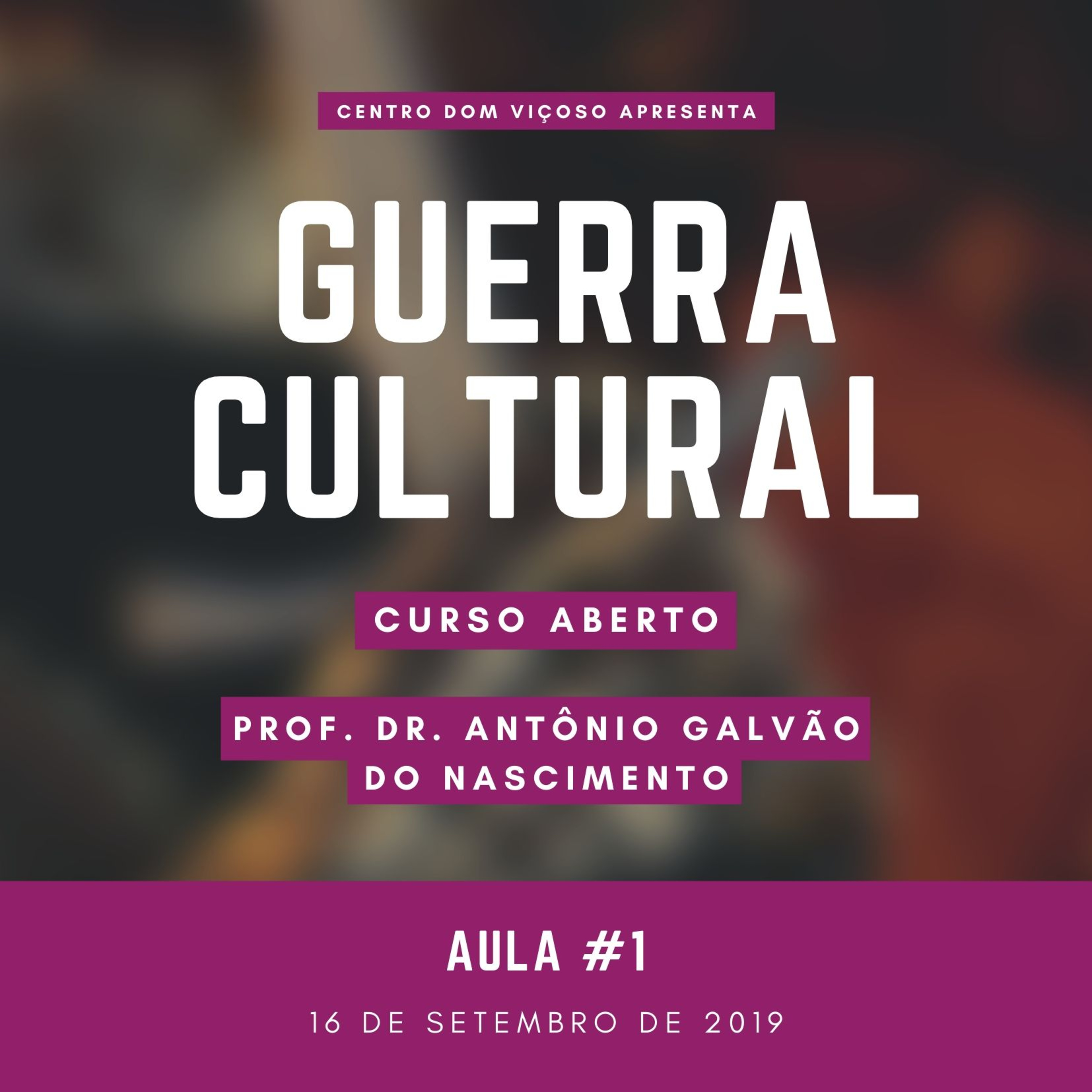 Centro Dom Viçoso