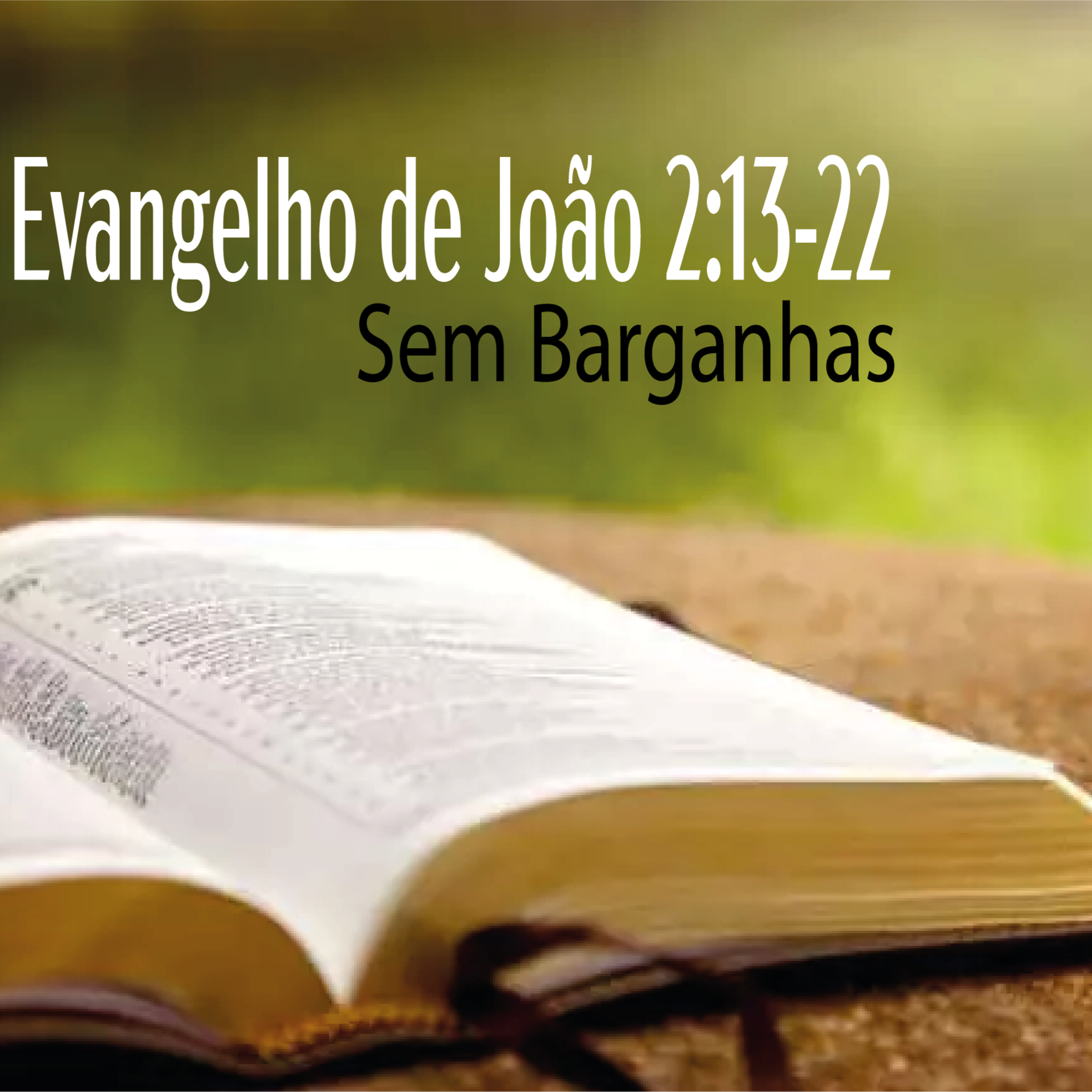 IPP - Igreja Presbiteriana do Pechincha