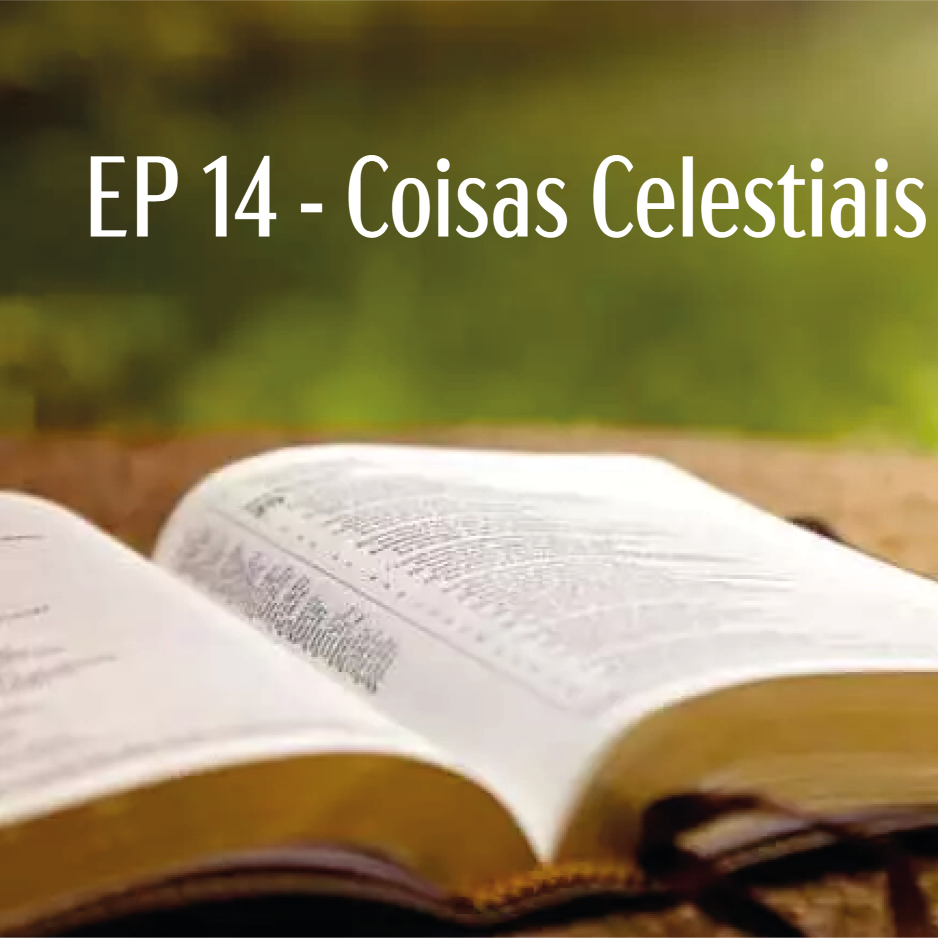 IPP - Igreja Presbiteriana do Pechincha