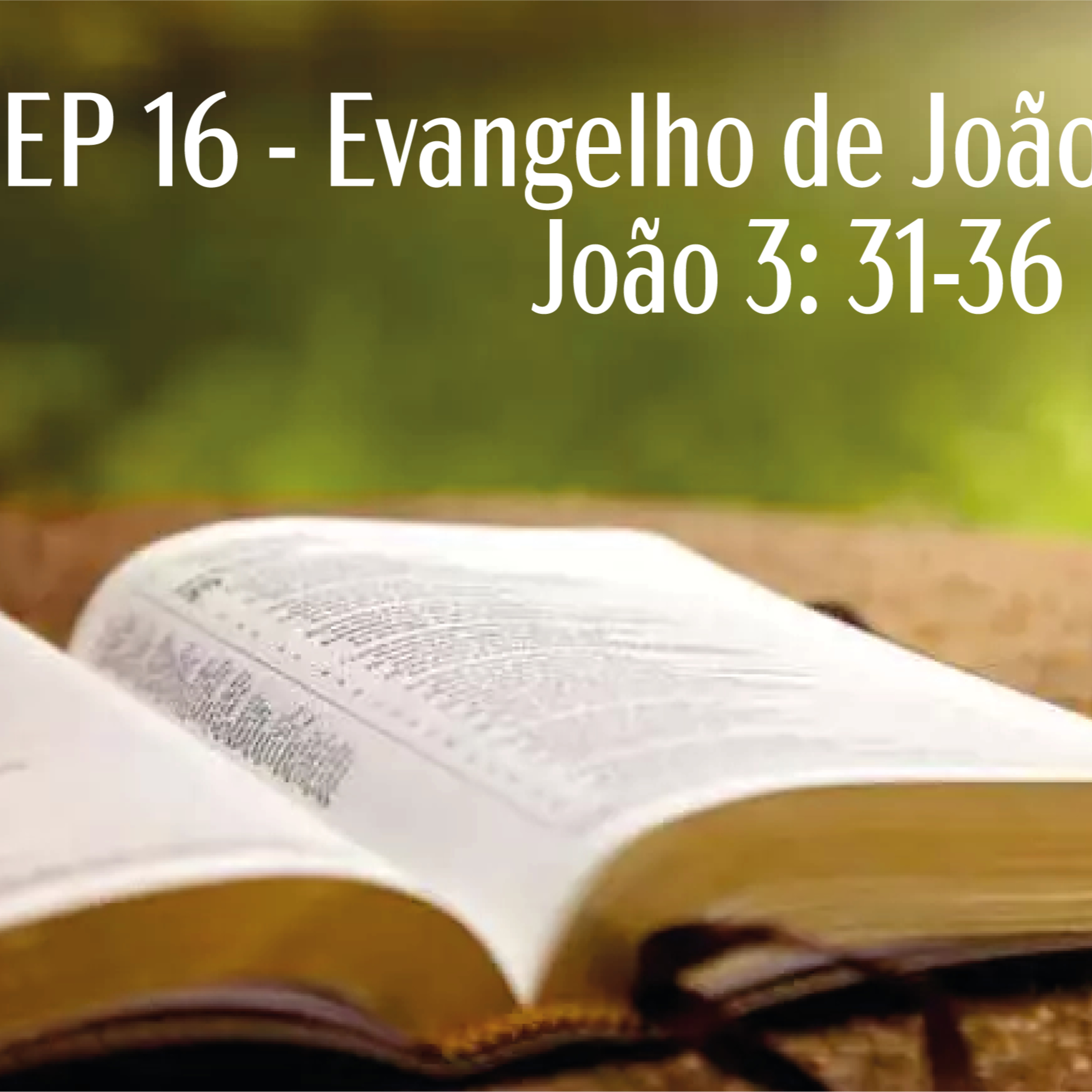 IPP - Igreja Presbiteriana do Pechincha