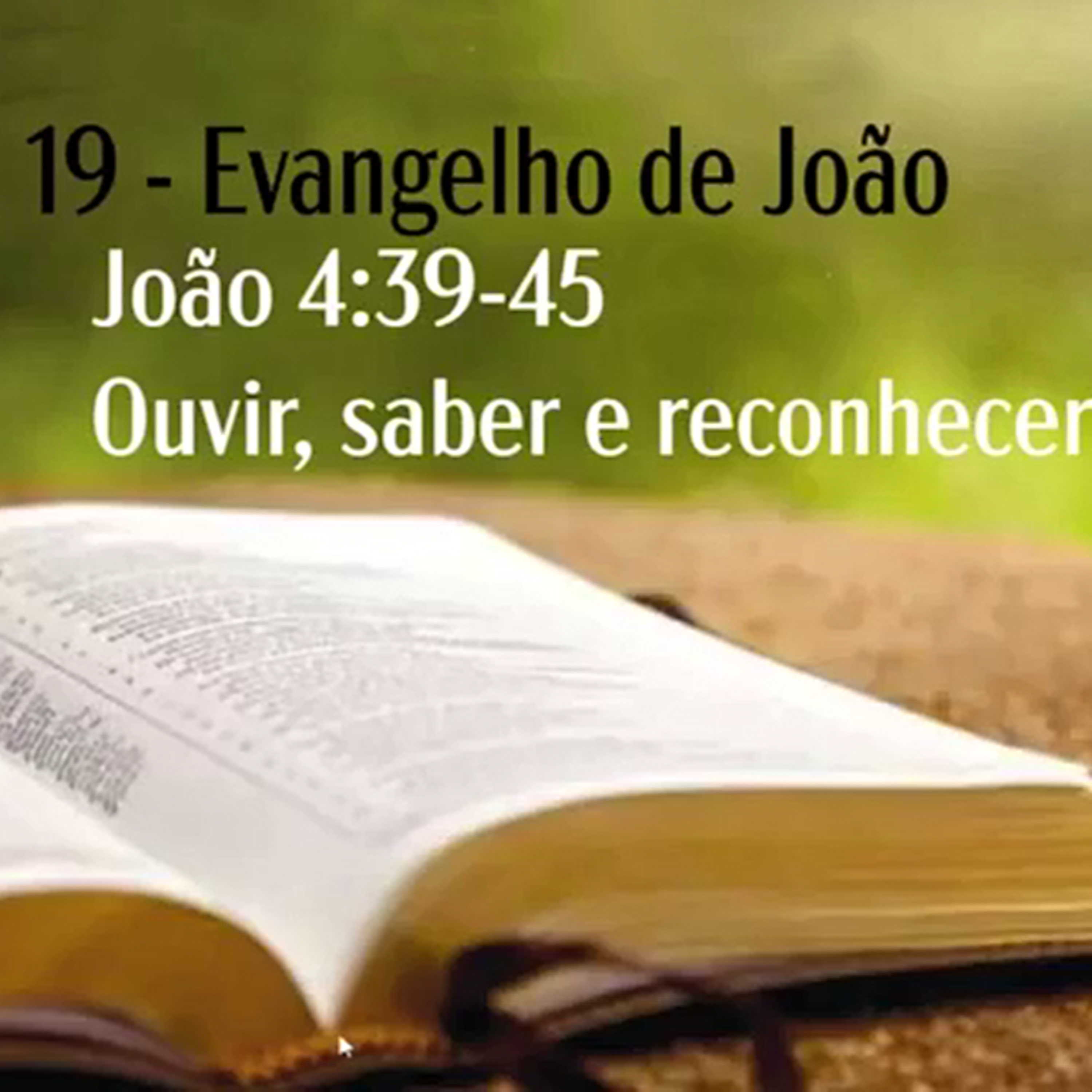 IPP - Igreja Presbiteriana do Pechincha