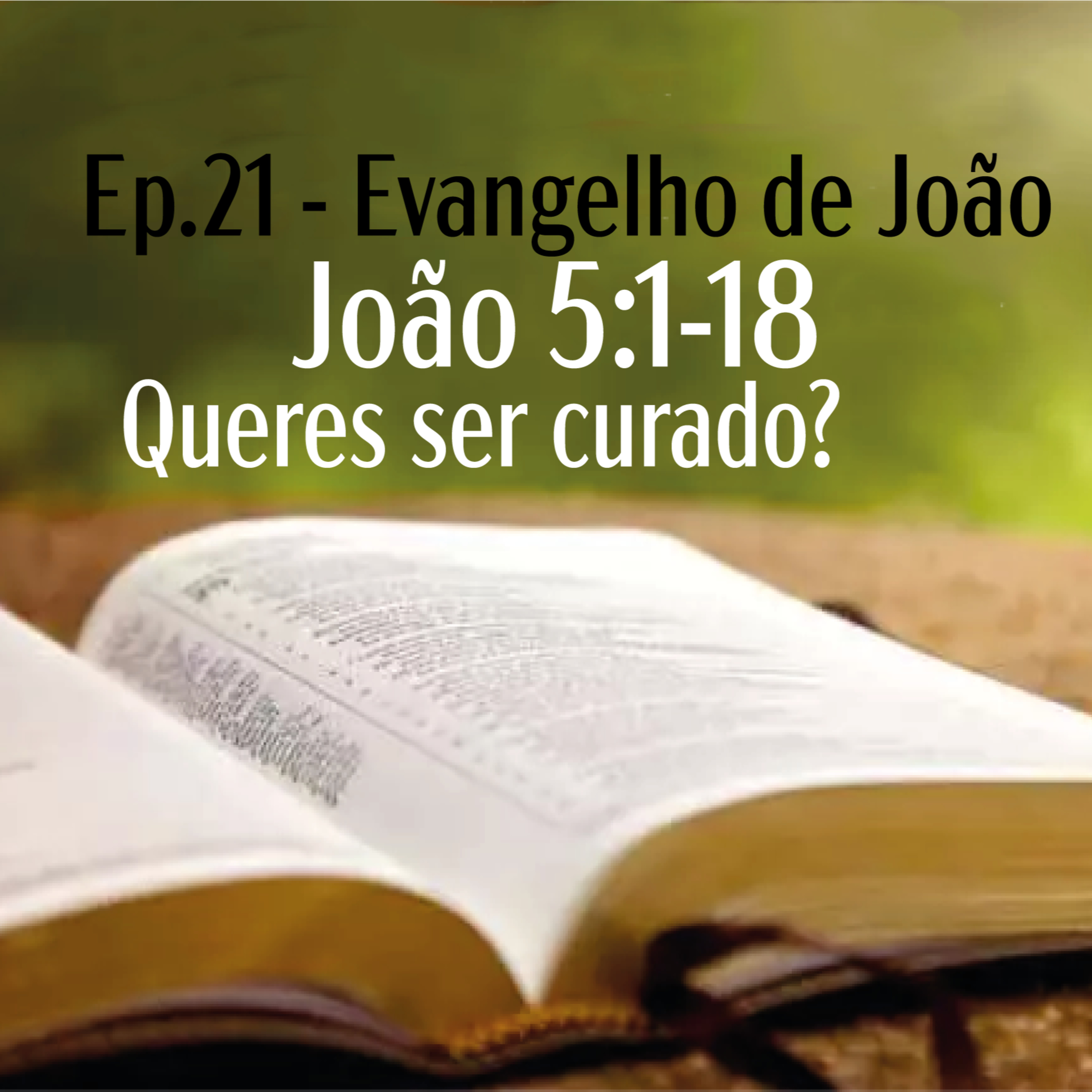 IPP - Igreja Presbiteriana do Pechincha