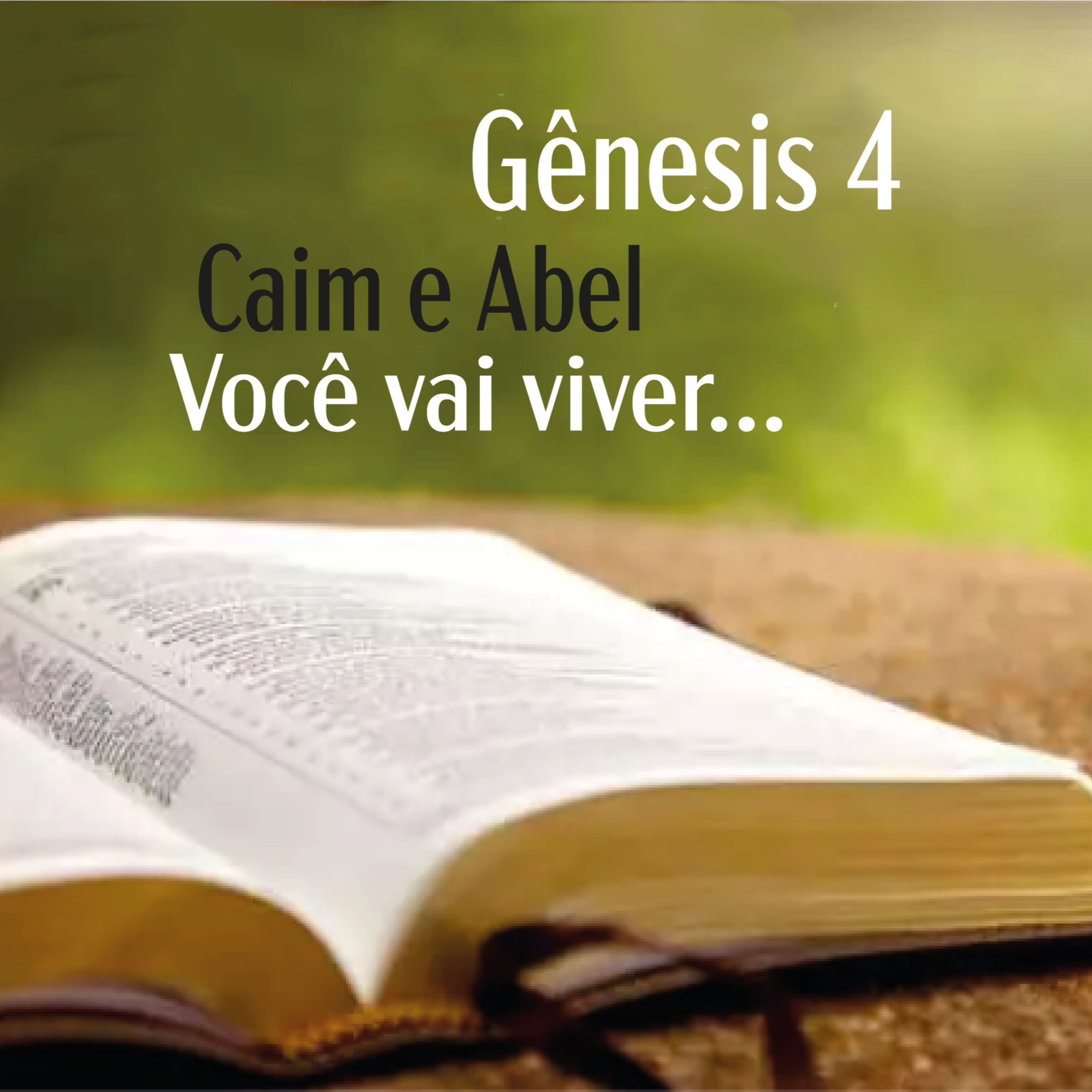 IPP - Igreja Presbiteriana do Pechincha