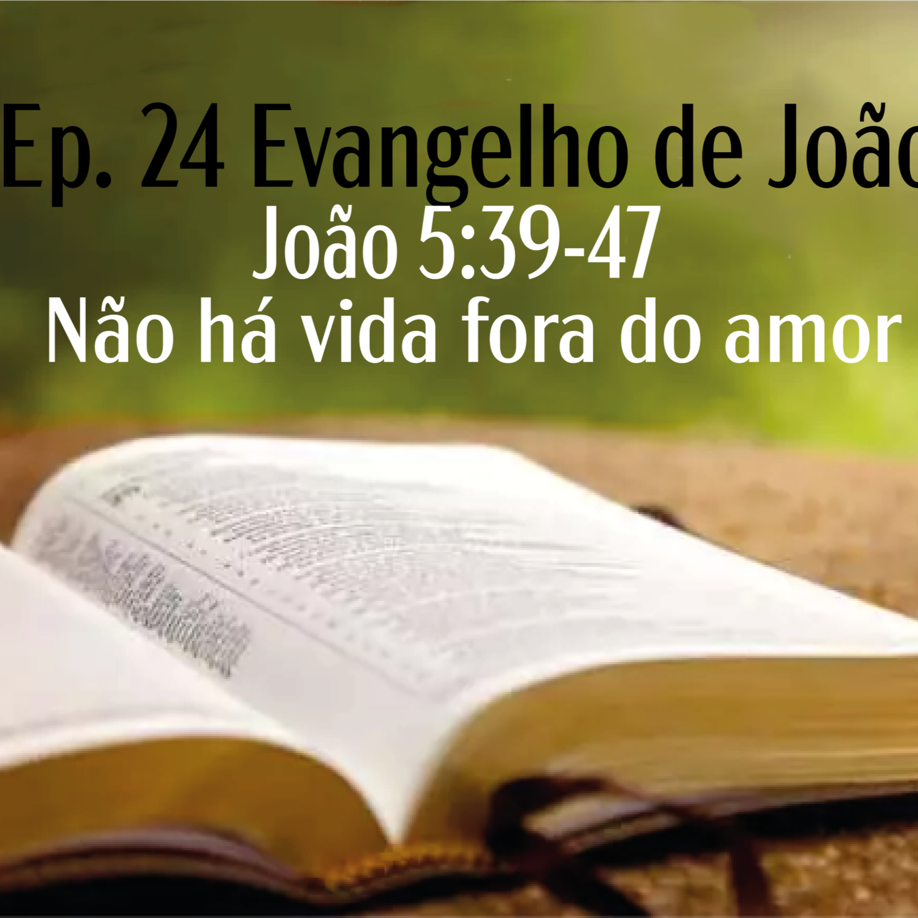 IPP - Igreja Presbiteriana do Pechincha