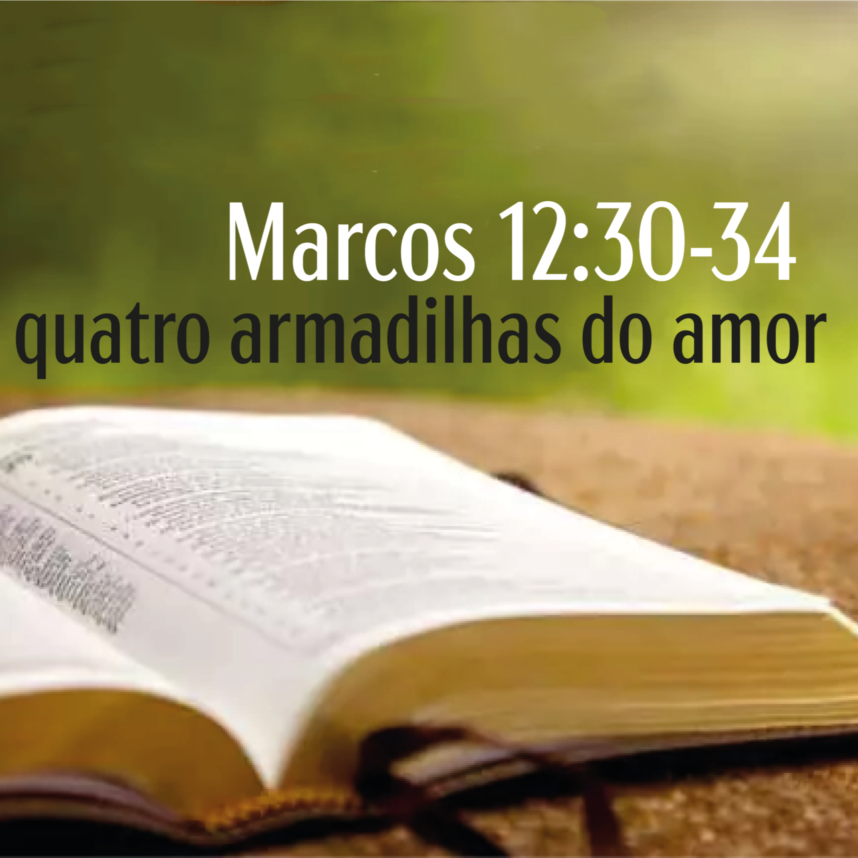 IPP - Igreja Presbiteriana do Pechincha