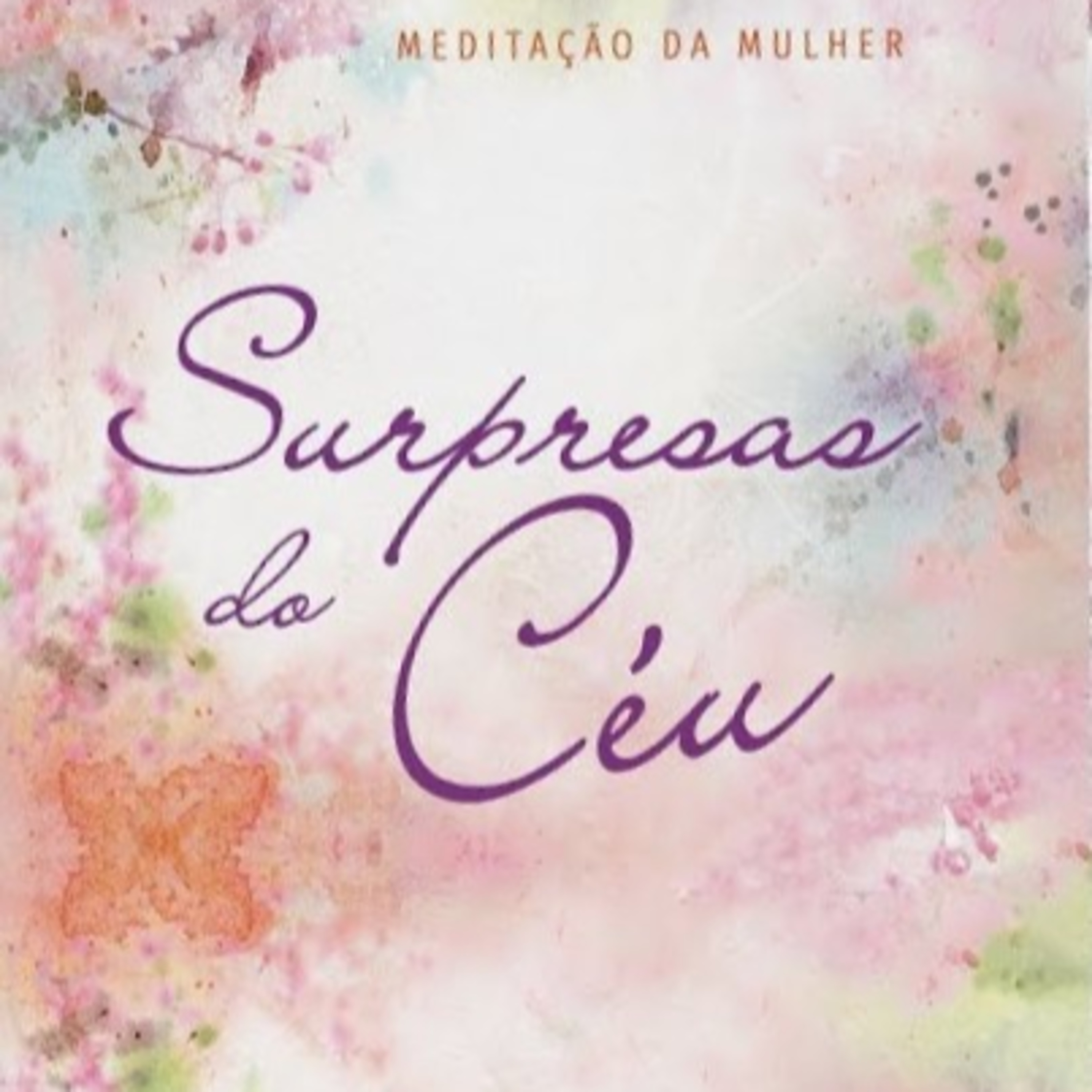 Meditação da Mulher - 19/05/2020  episode artwork