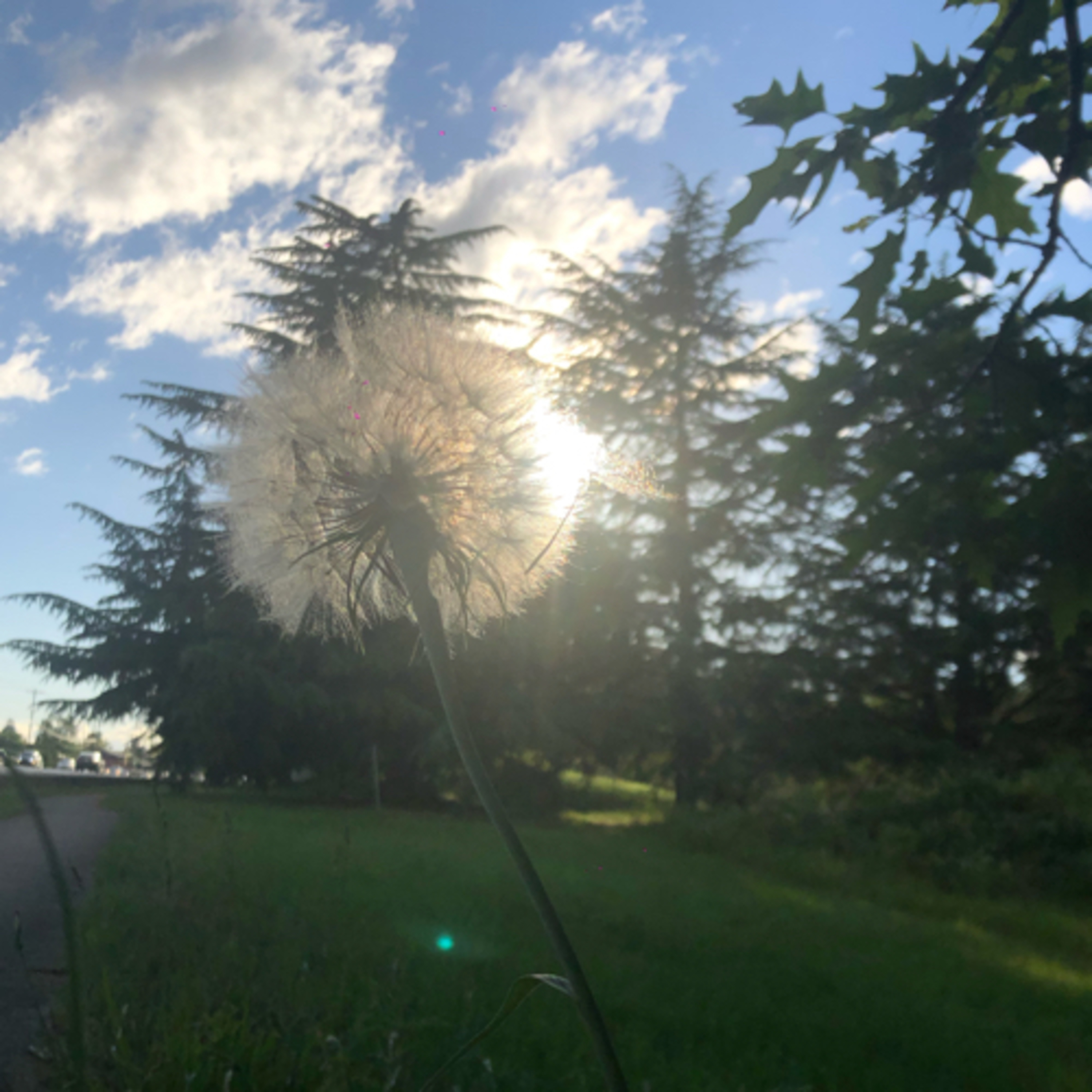 The Journey Through Obligation