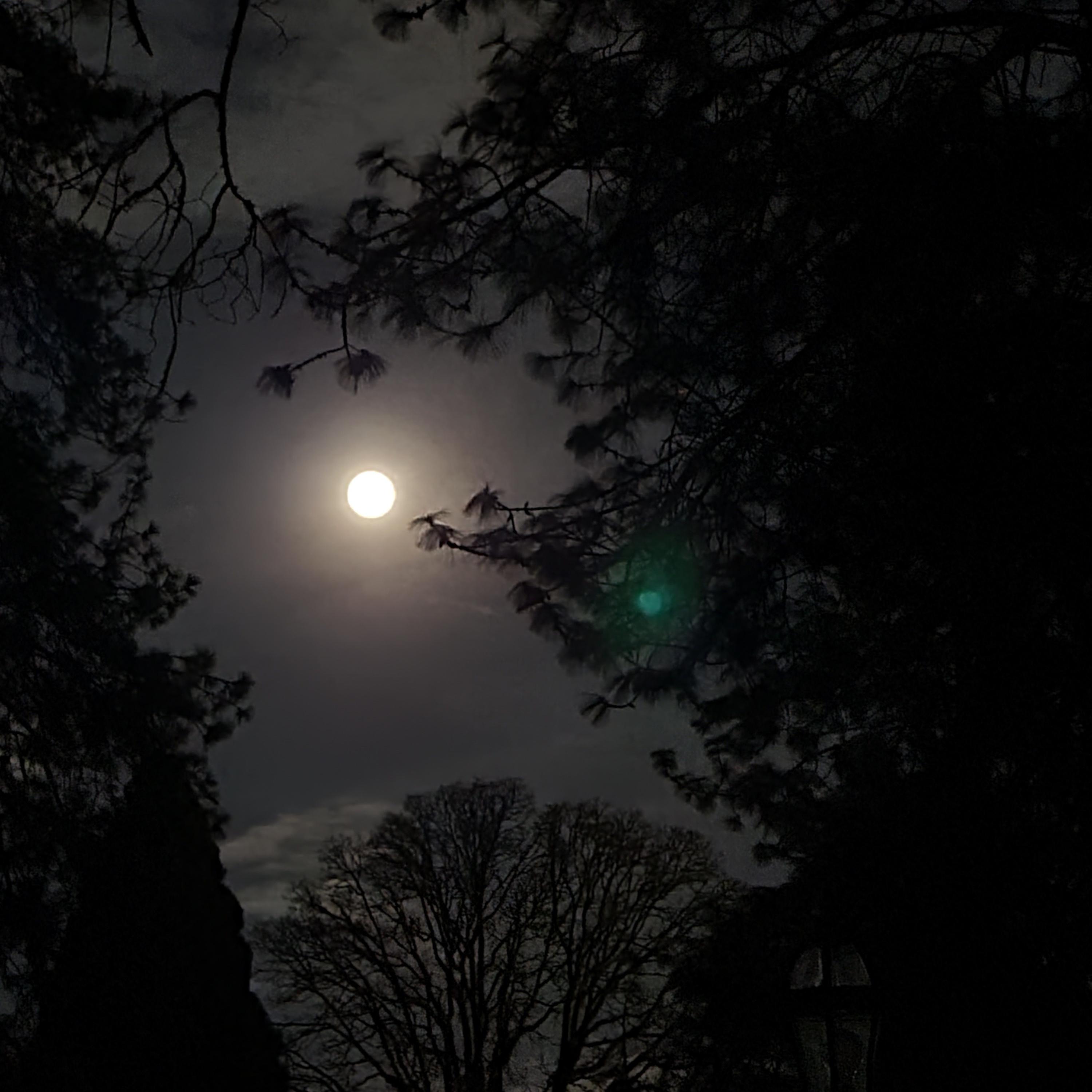Reflections | Full Moon in Cancer