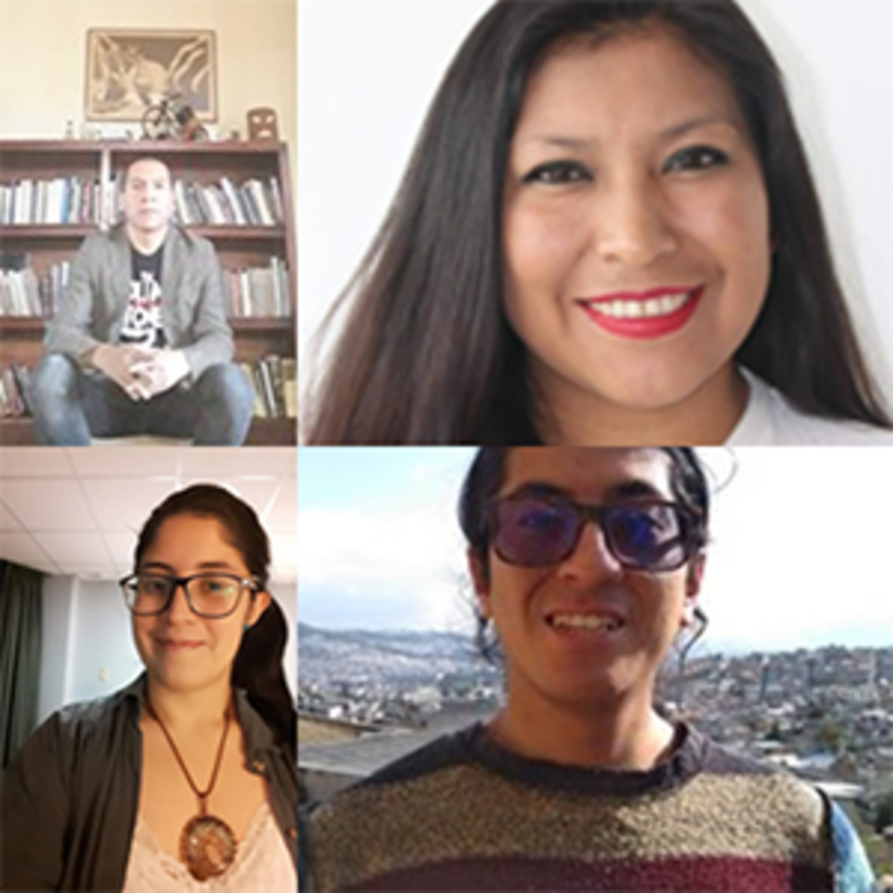 Radio Voz Andina Internacional