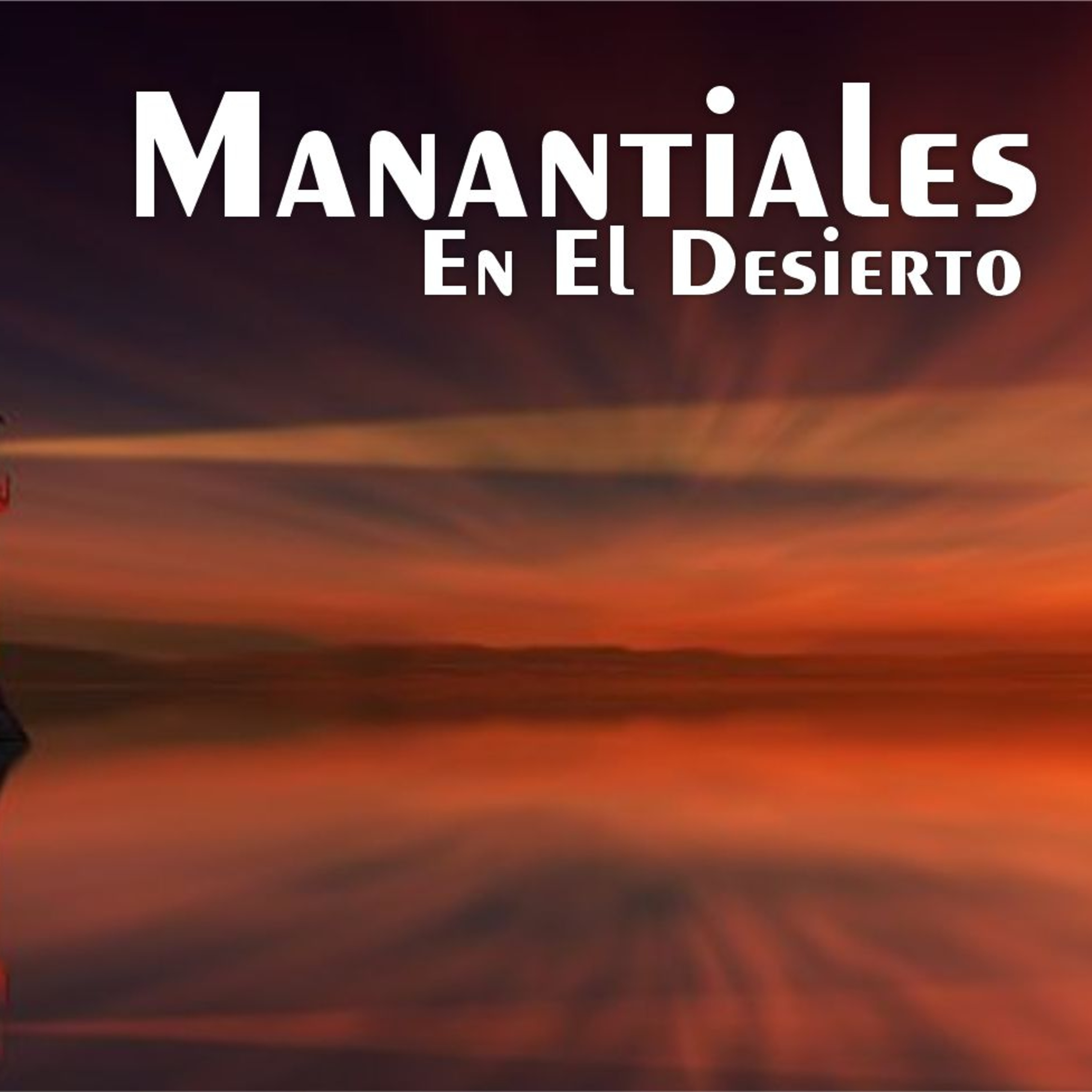 Manantiales en el Desierto