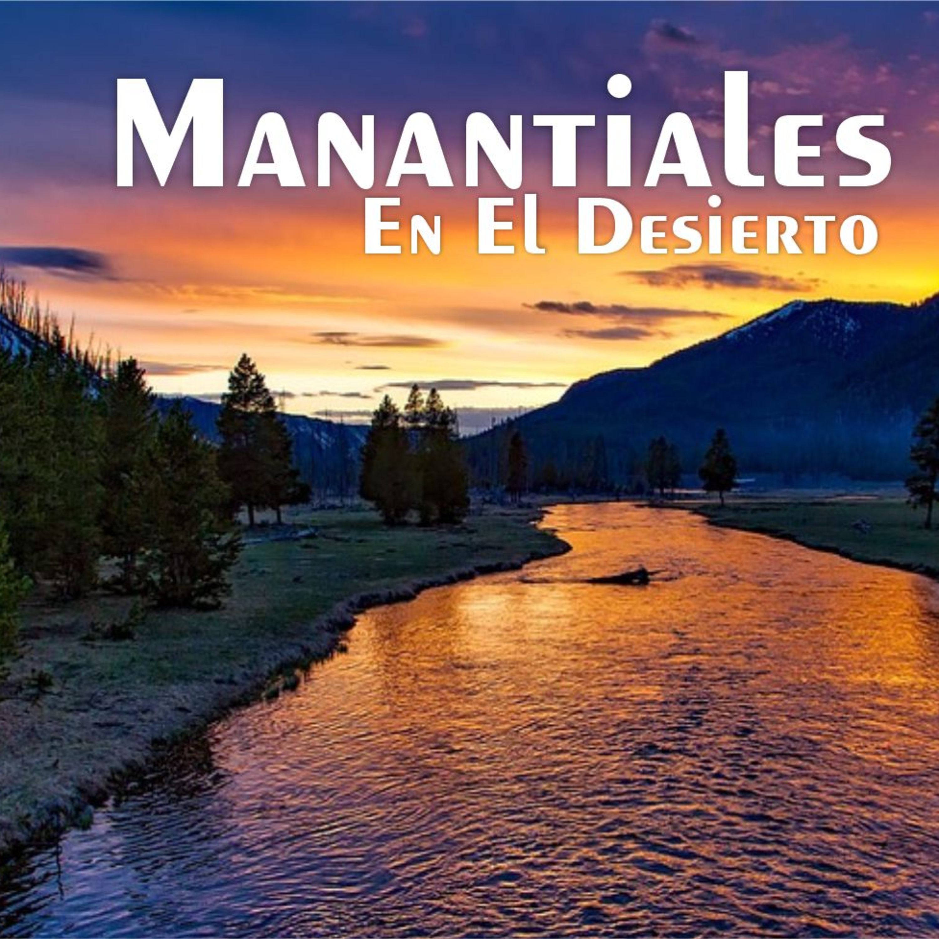Manantiales en el Desierto