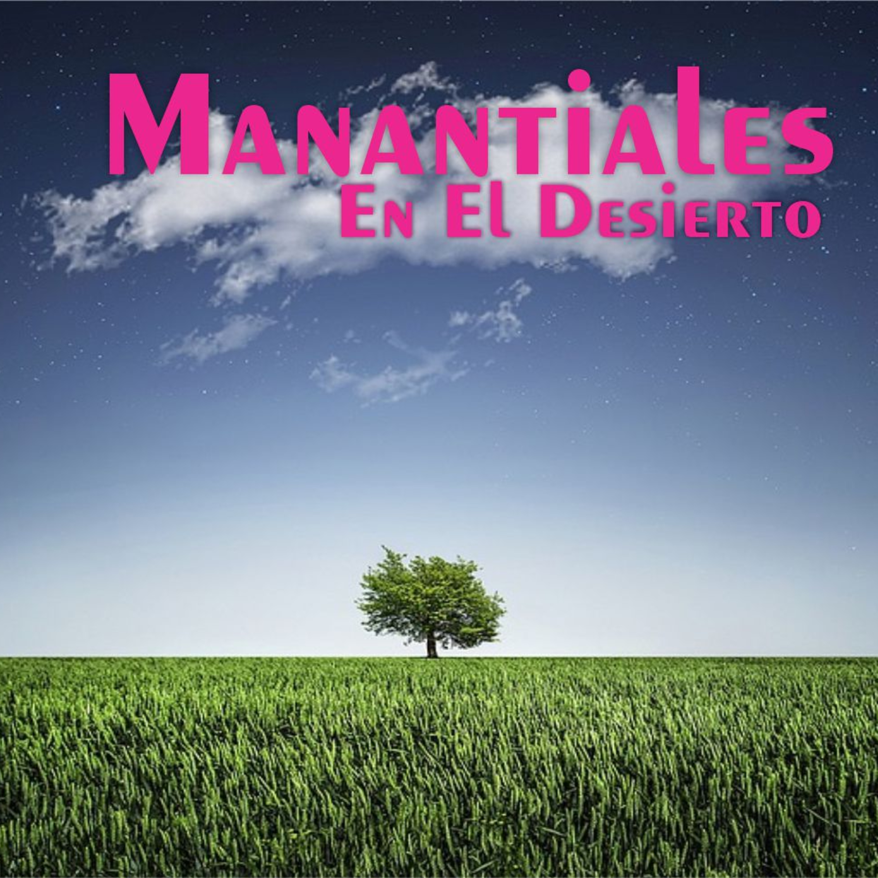 Manantiales en el Desierto