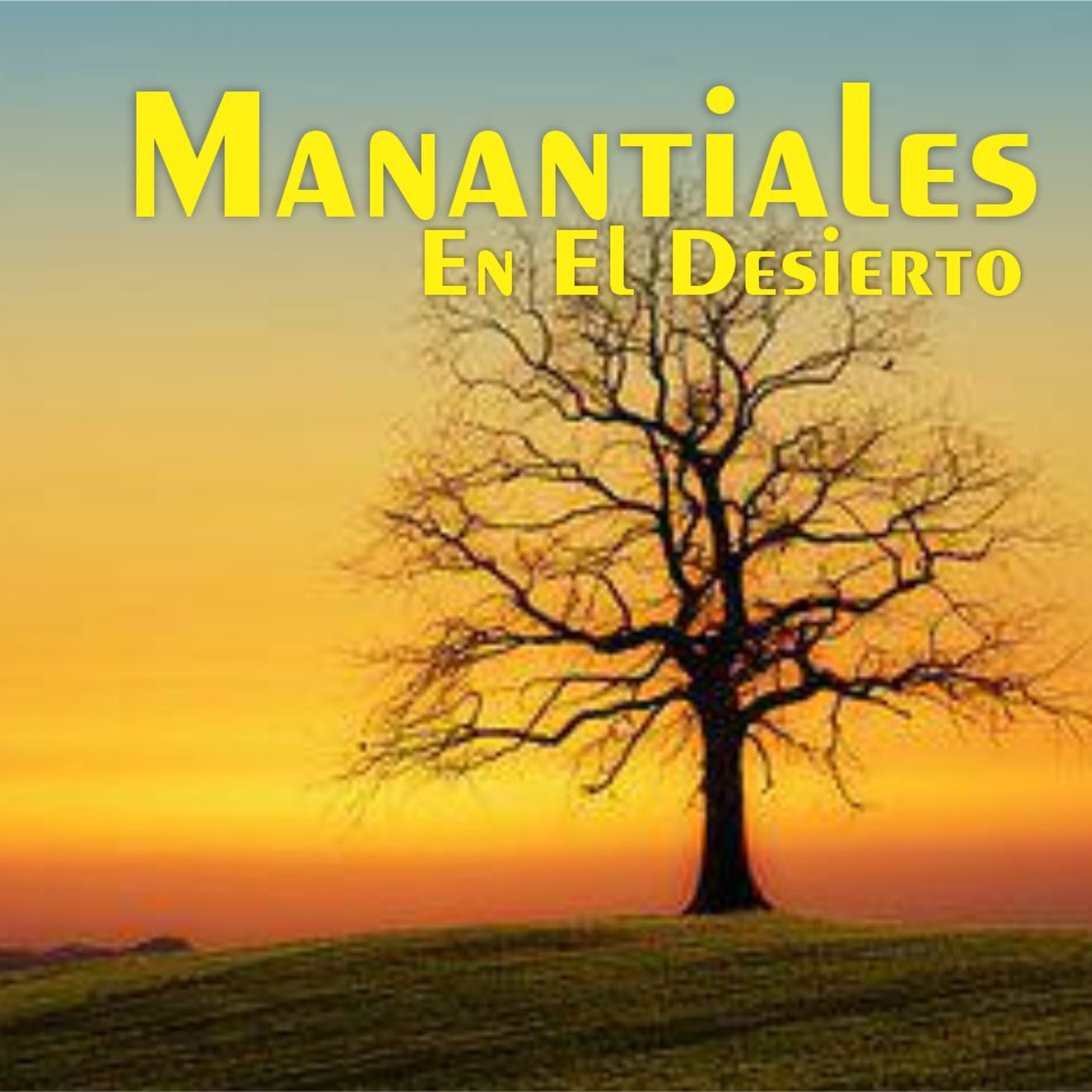 Manantiales en el Desierto