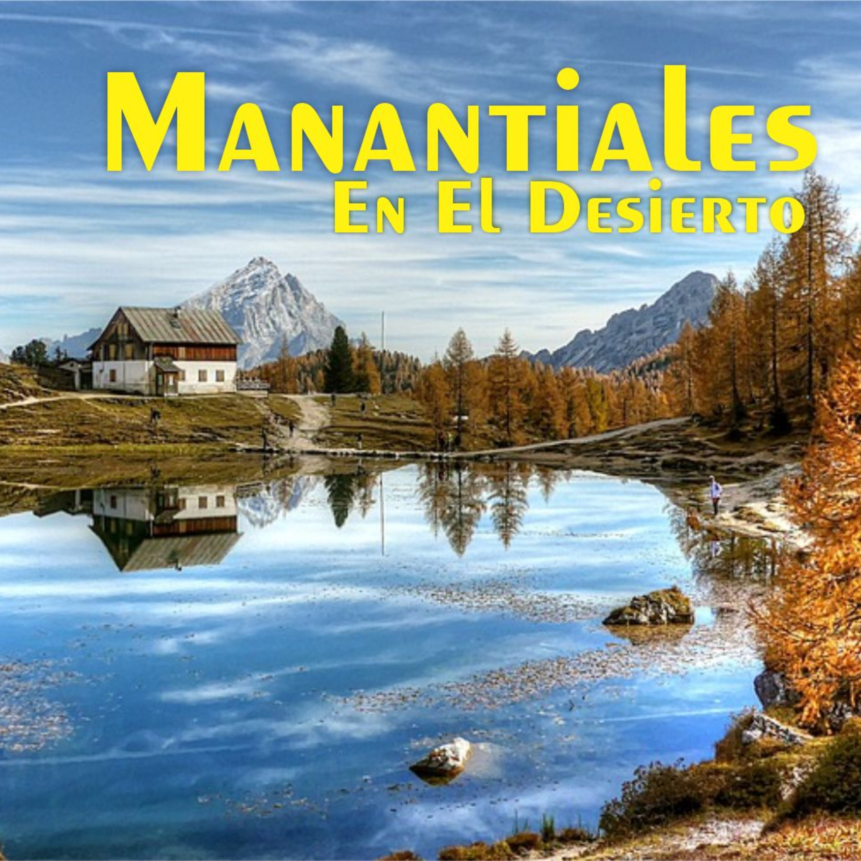 Manantiales en el Desierto