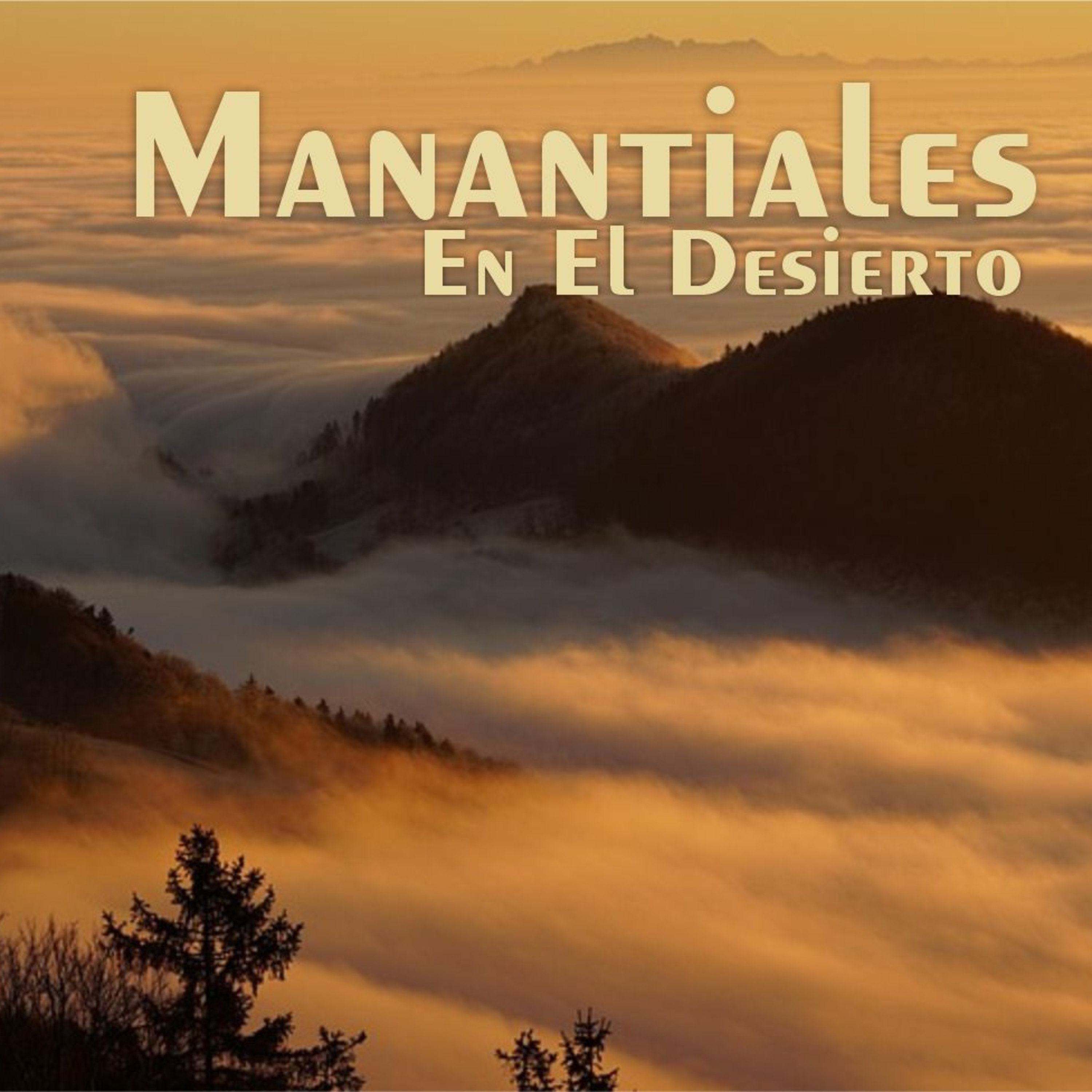 Manantiales en el Desierto