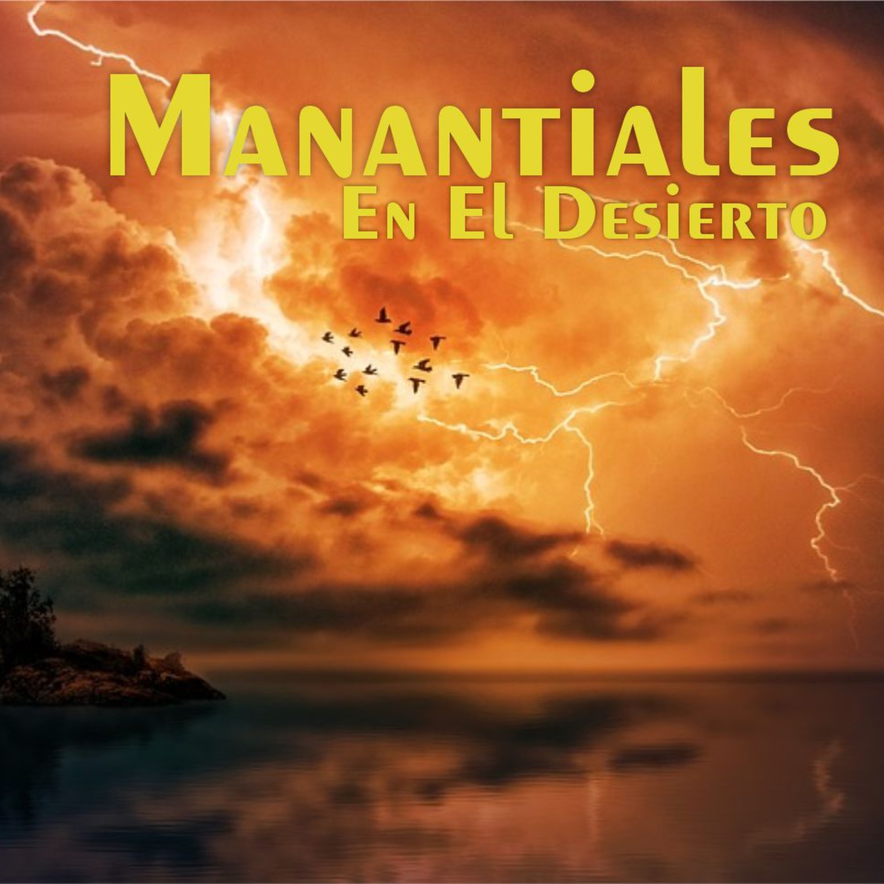 Manantiales en el Desierto