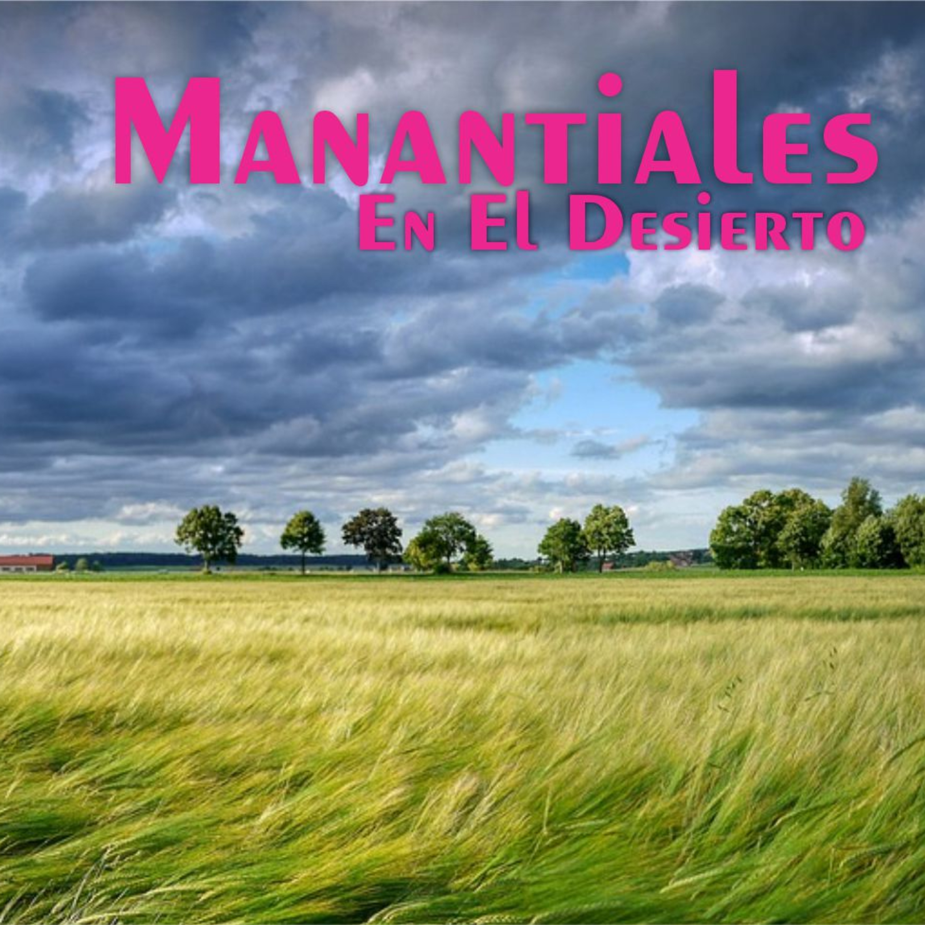 Manantiales en el Desierto
