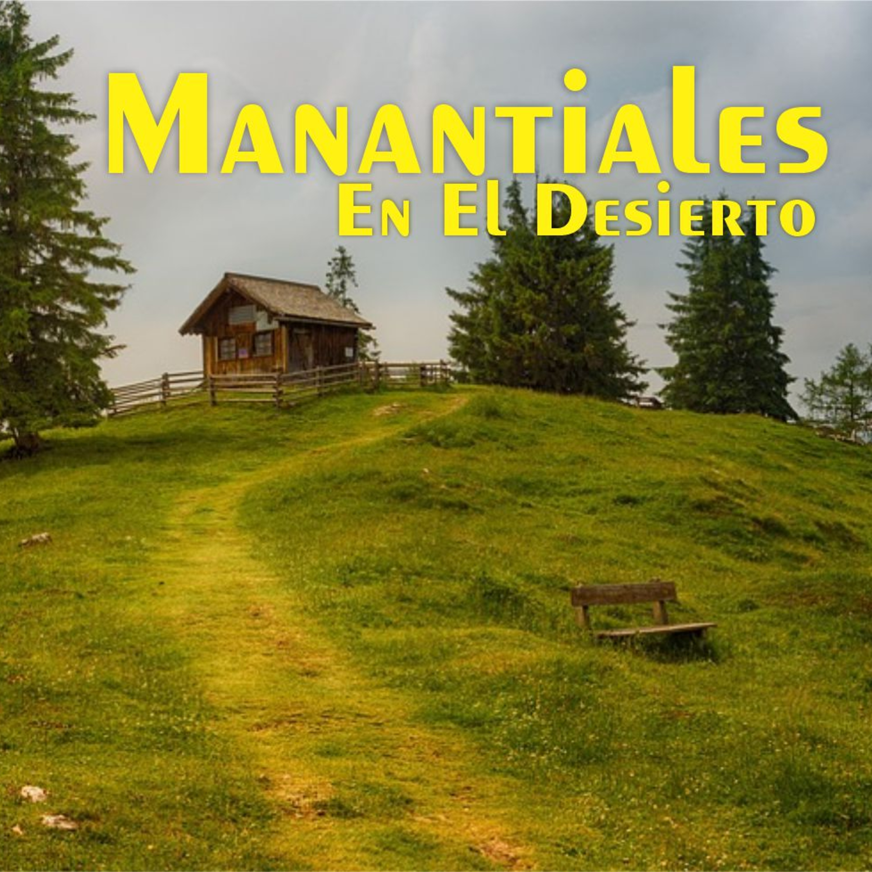 Manantiales en el Desierto