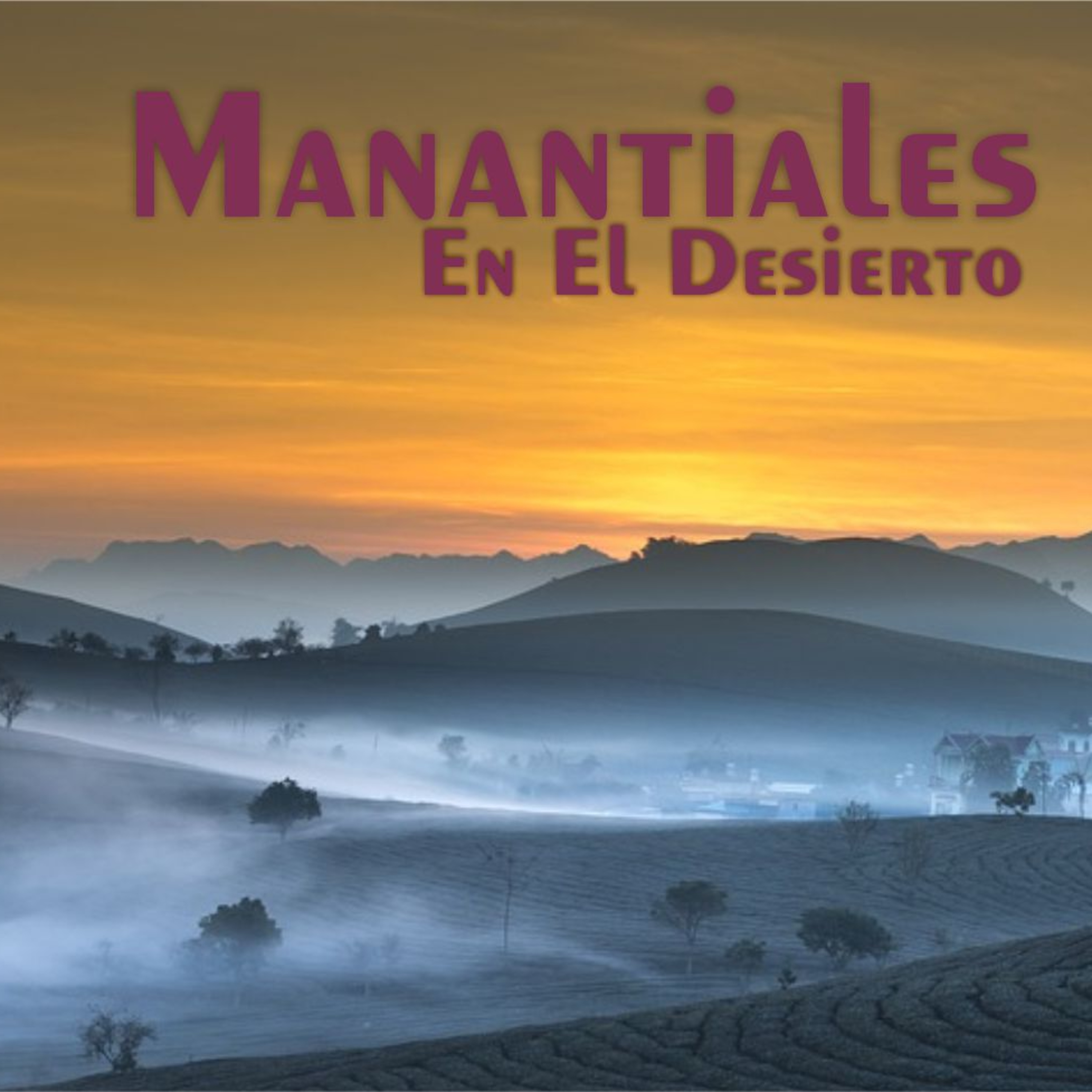 Manantiales en el Desierto