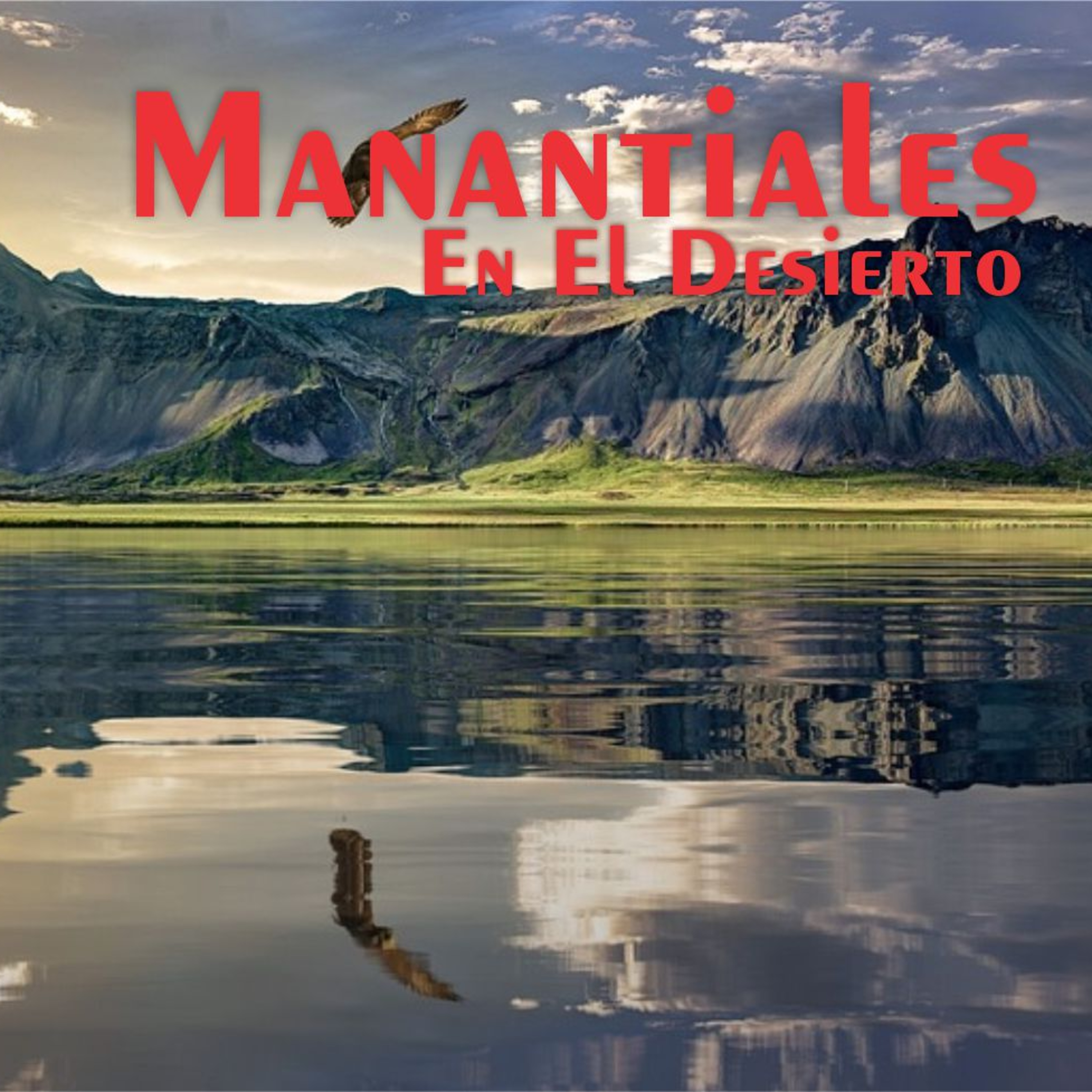 Manantiales en el Desierto