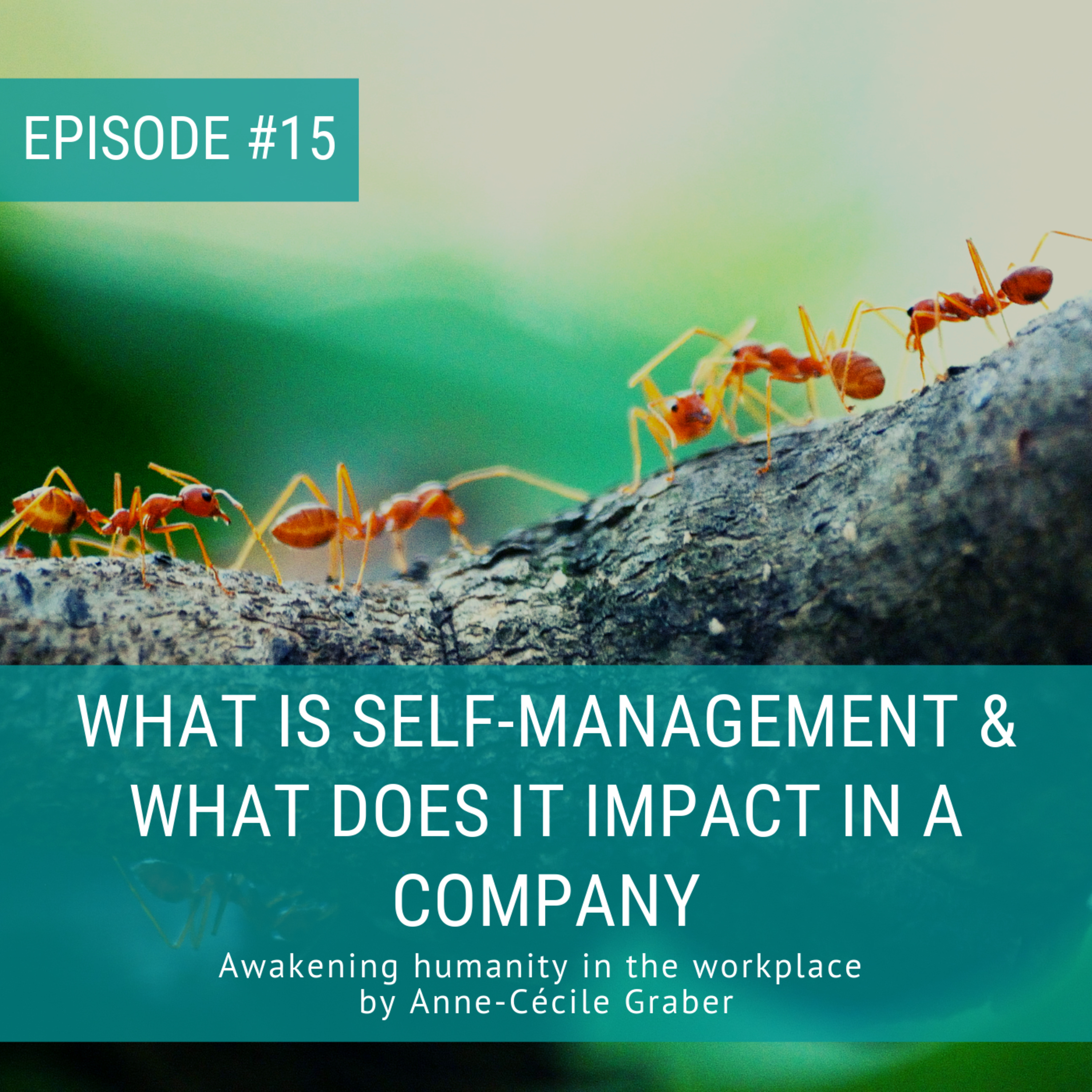 Human Centered Management