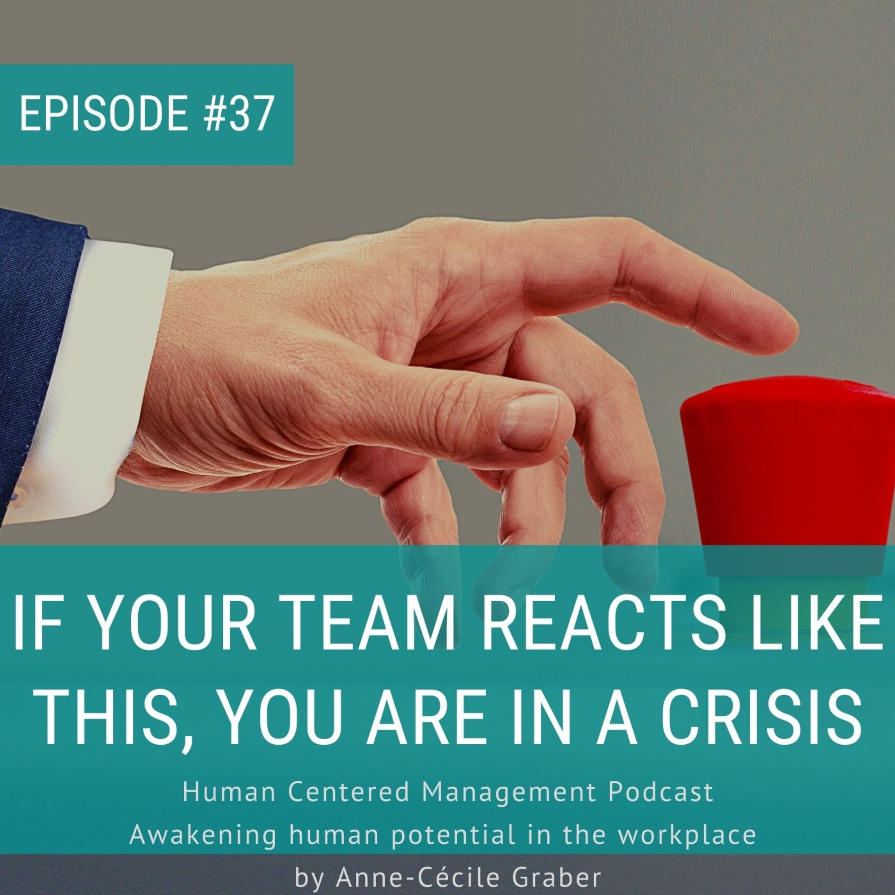 Human Centered Management