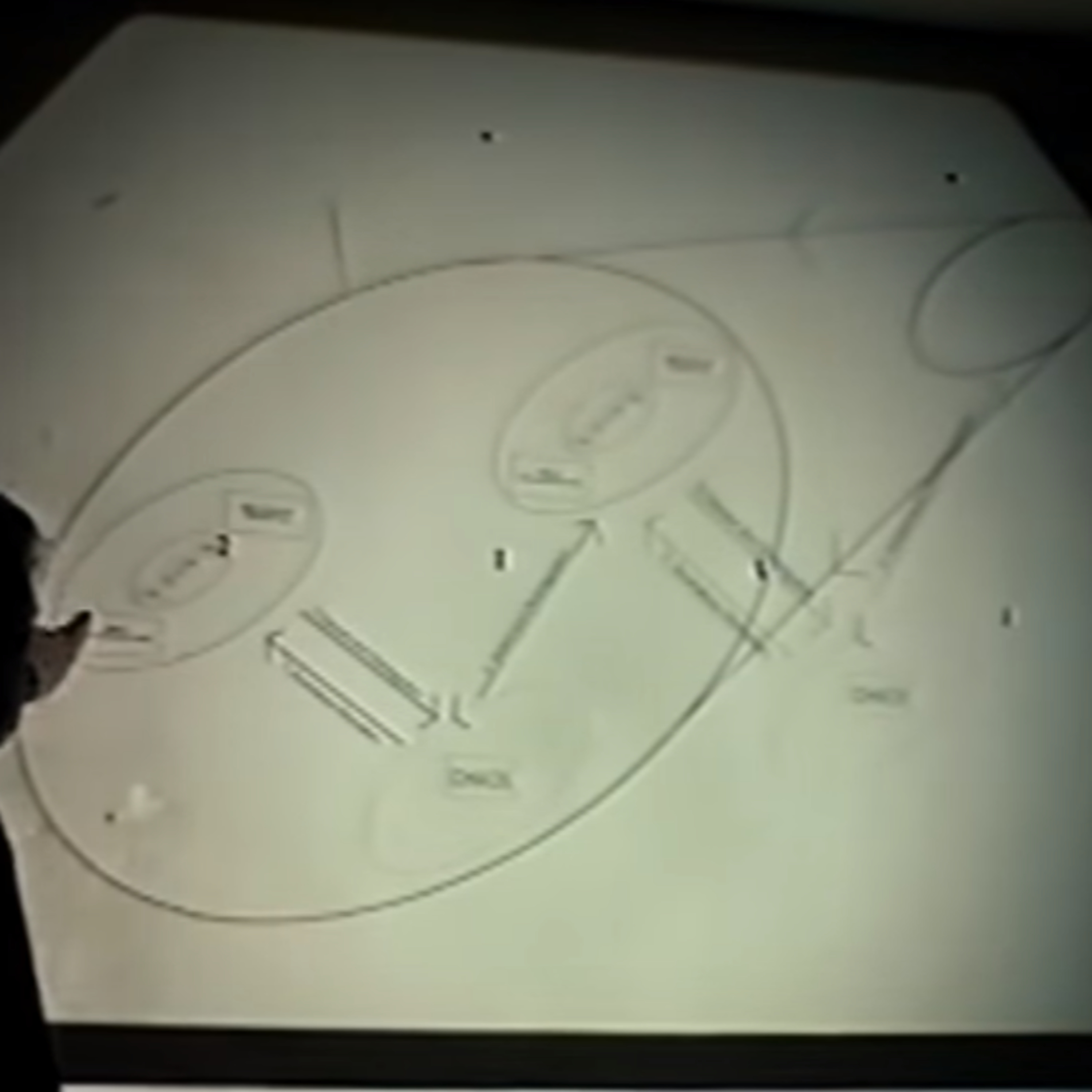 Maps of Meaning 08 (Harvard Lectures) episode artwork