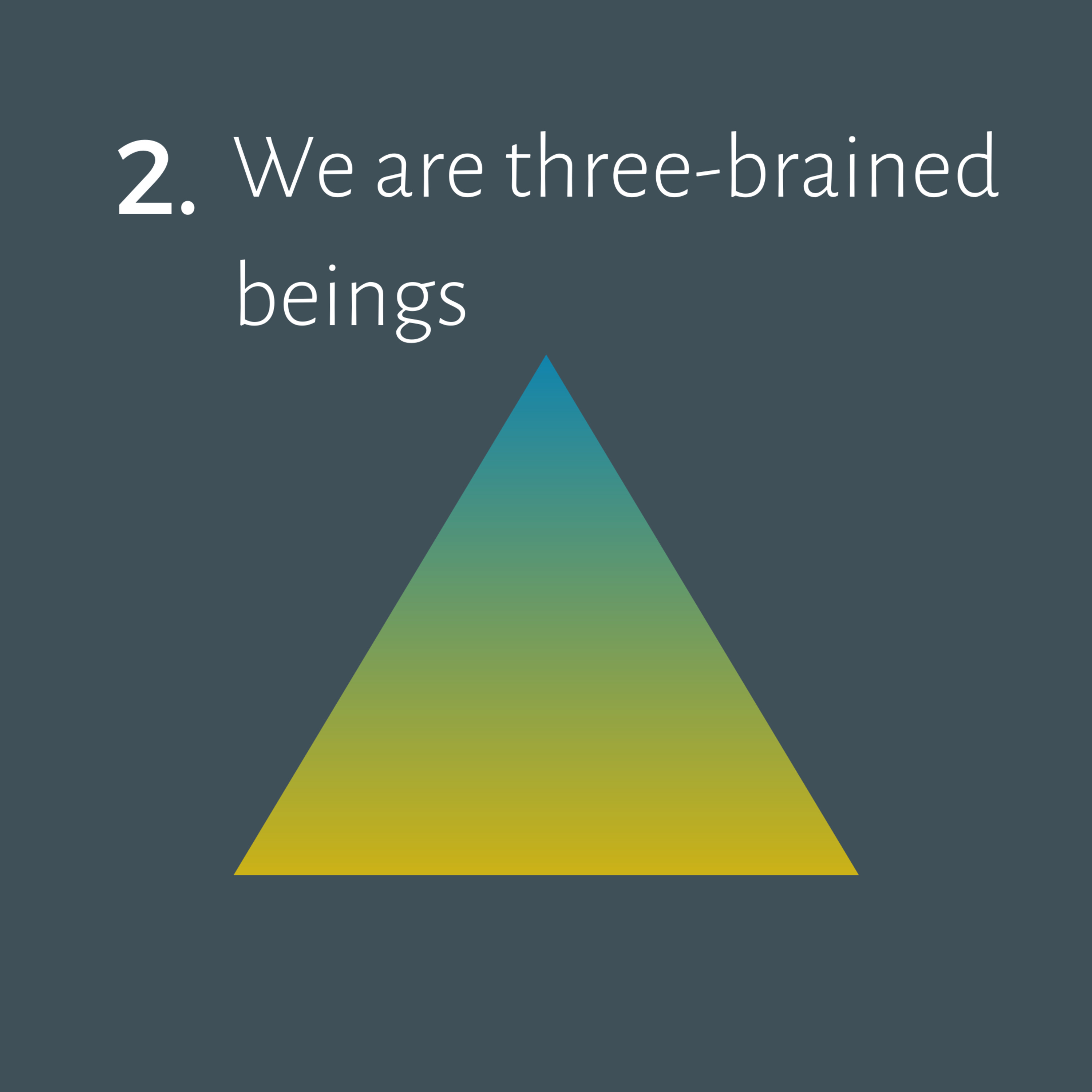 We are three-brained beings