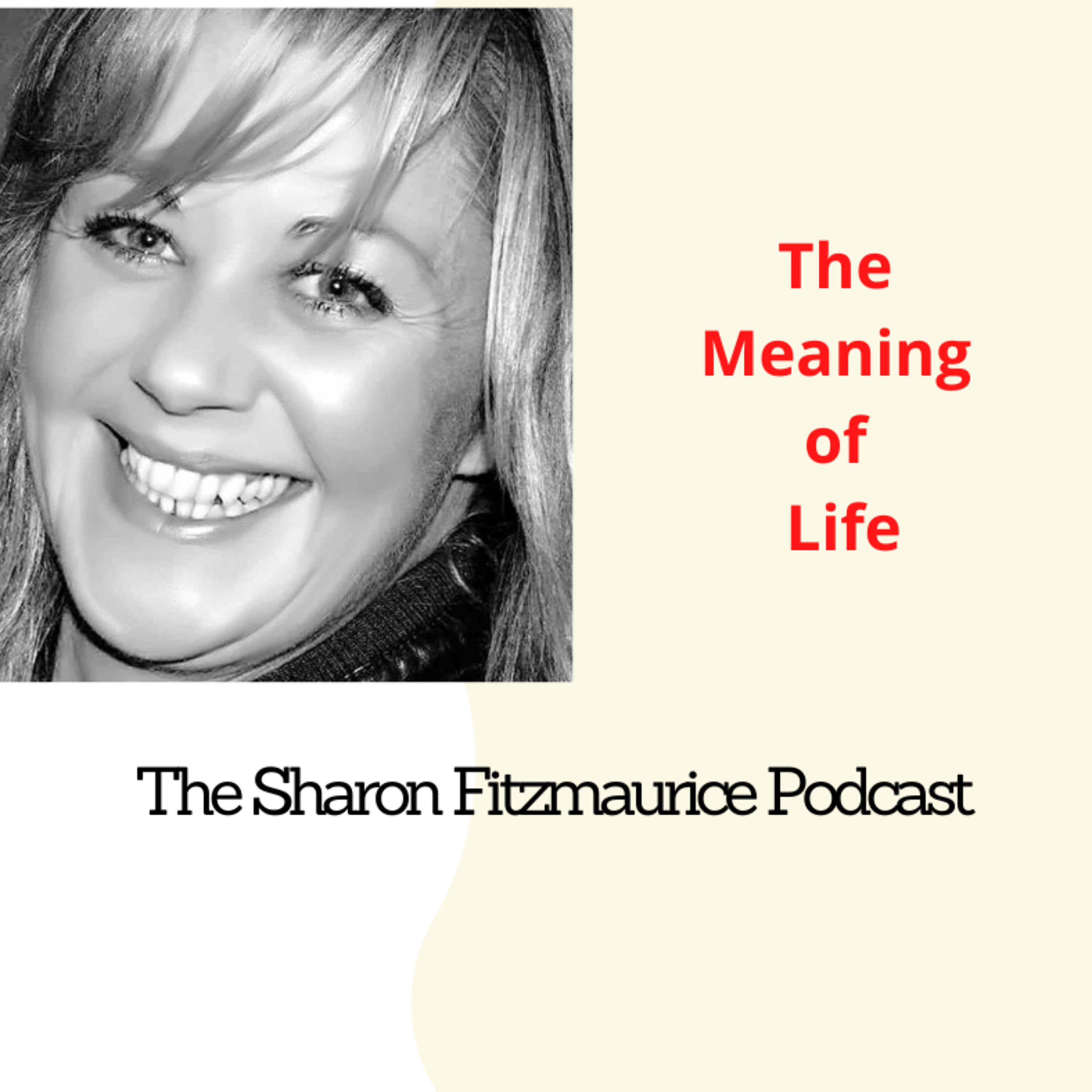 The Sharon Fitzmaurice Podcast